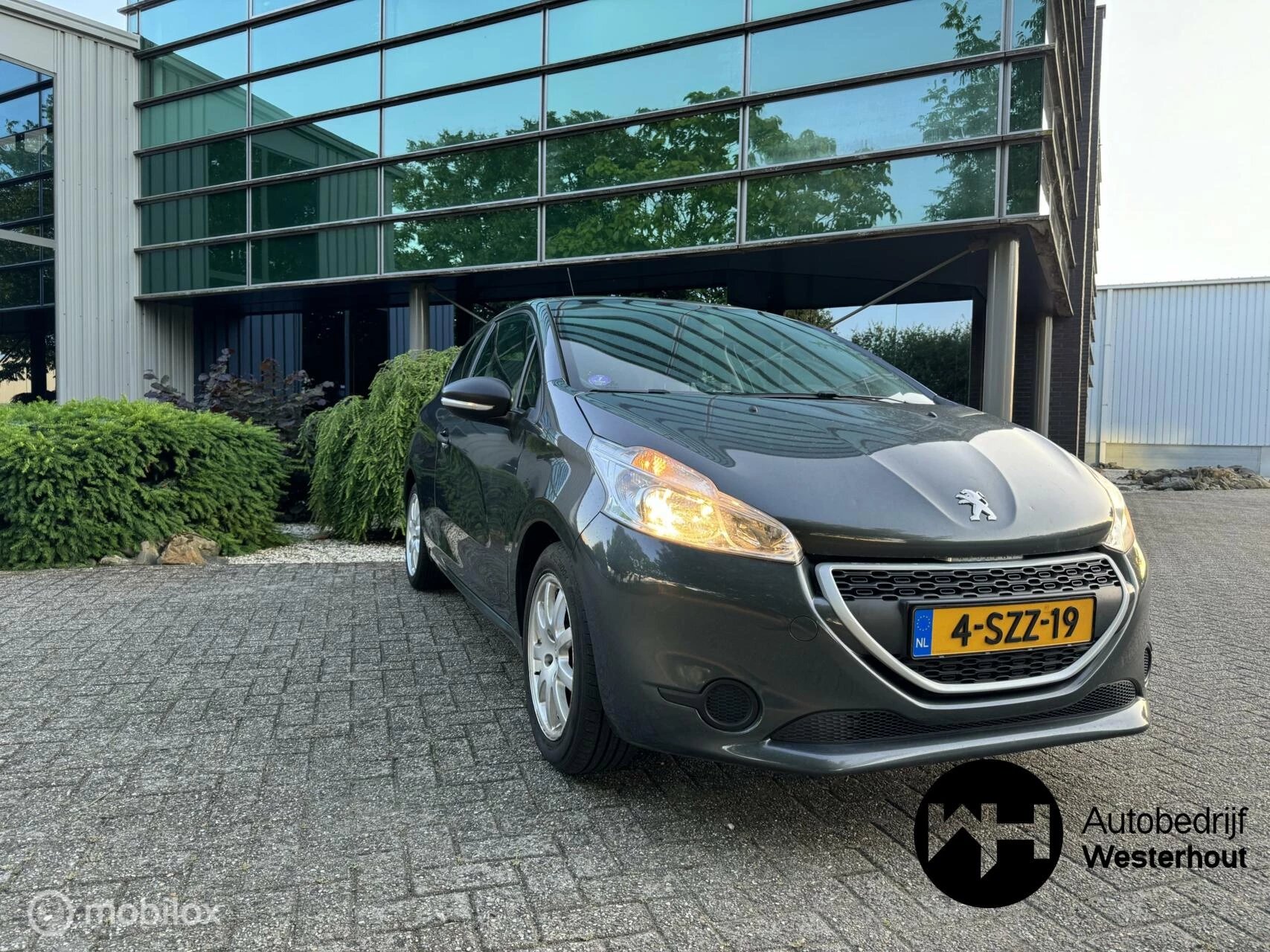 Hoofdafbeelding Peugeot 208