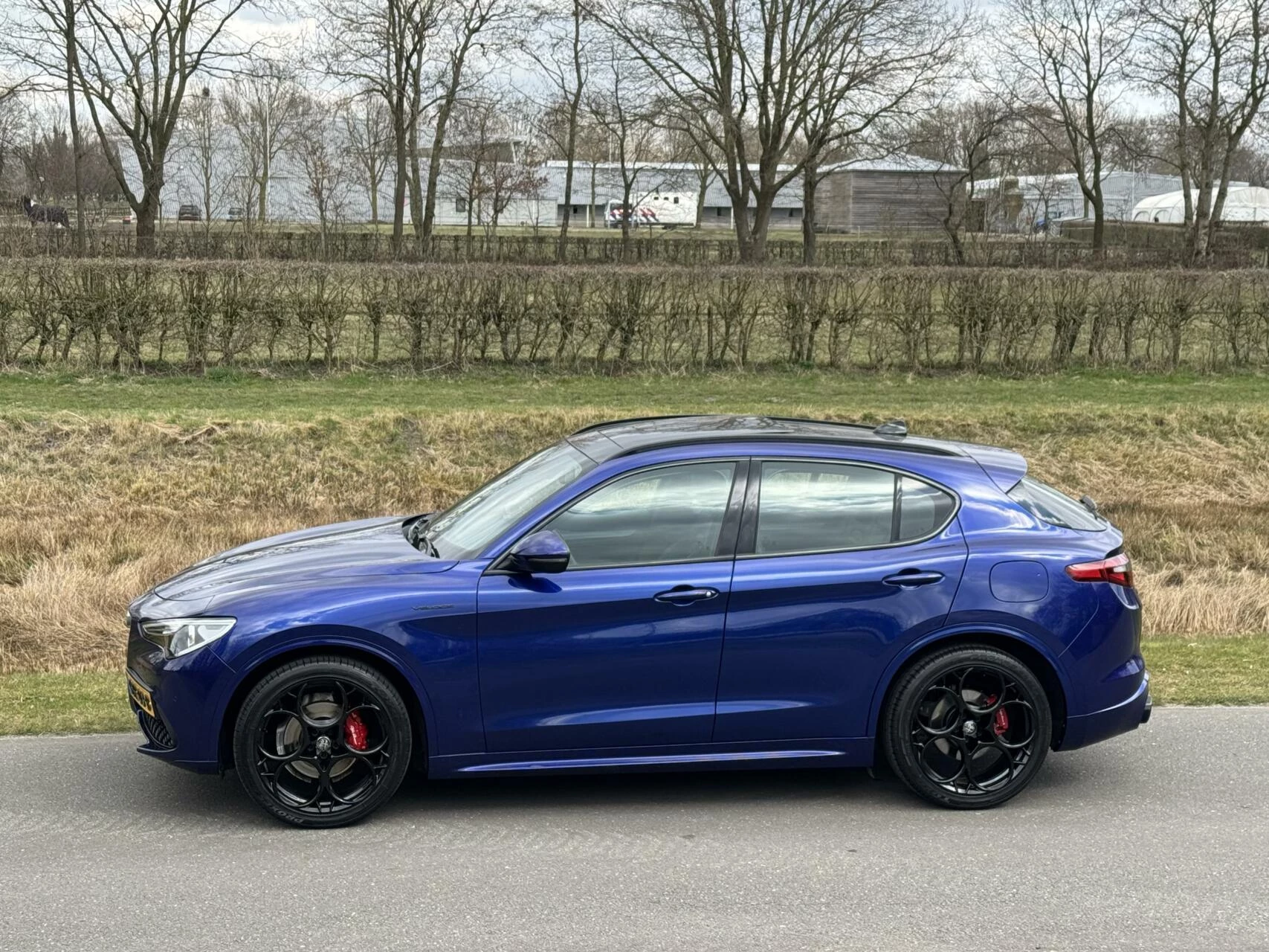 Hoofdafbeelding Alfa Romeo Stelvio