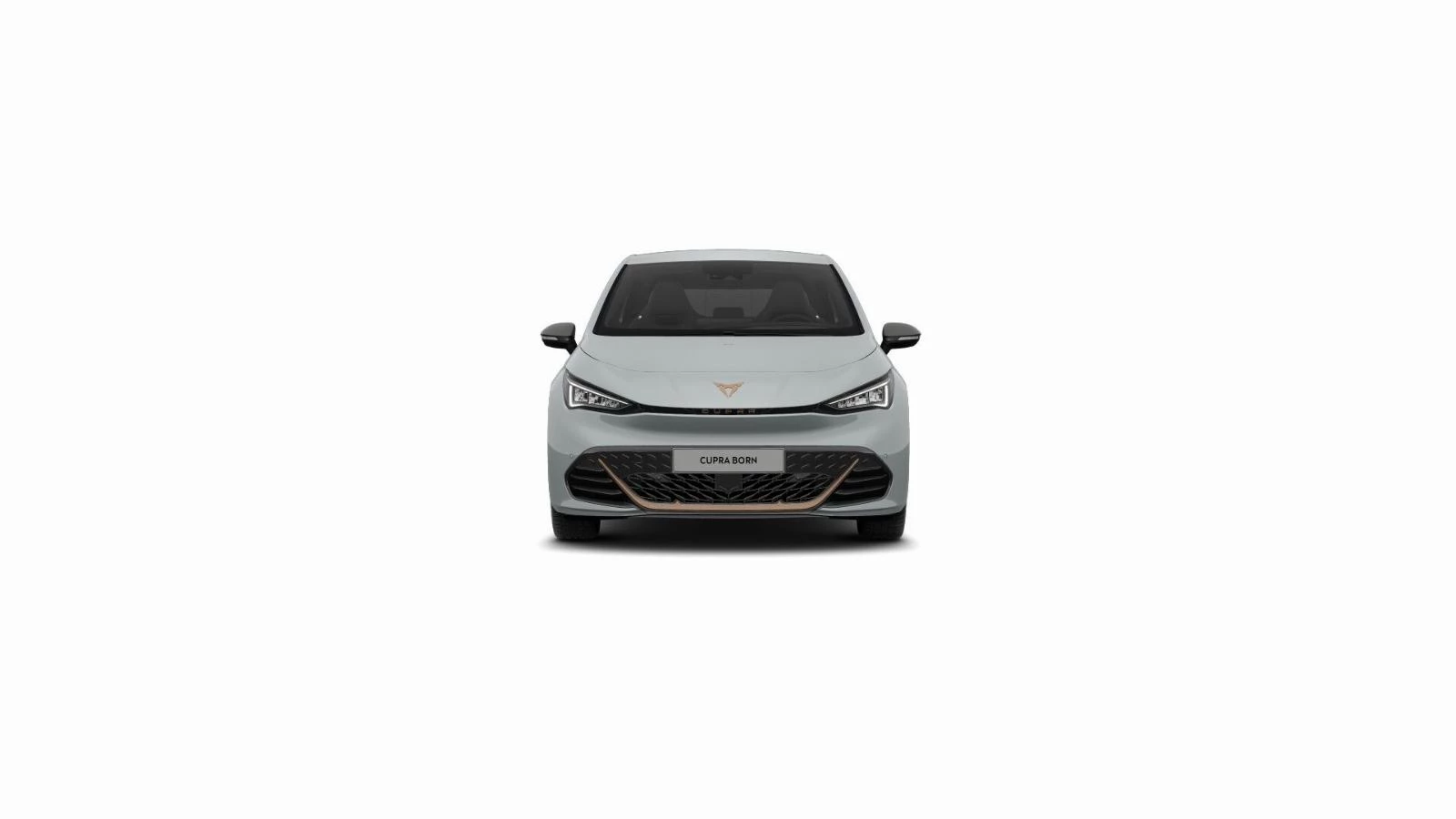 Hoofdafbeelding CUPRA Born