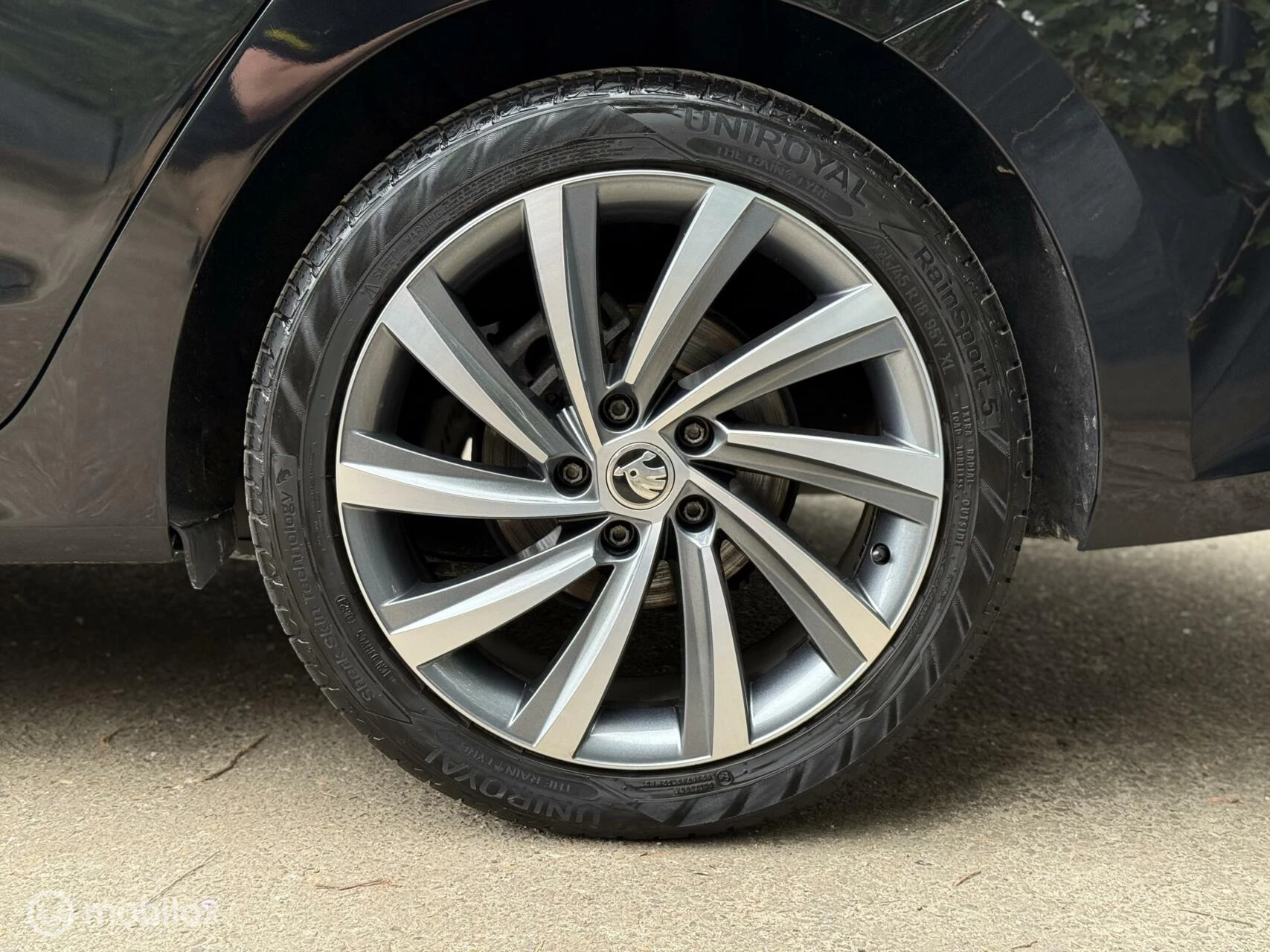 Hoofdafbeelding Škoda Octavia