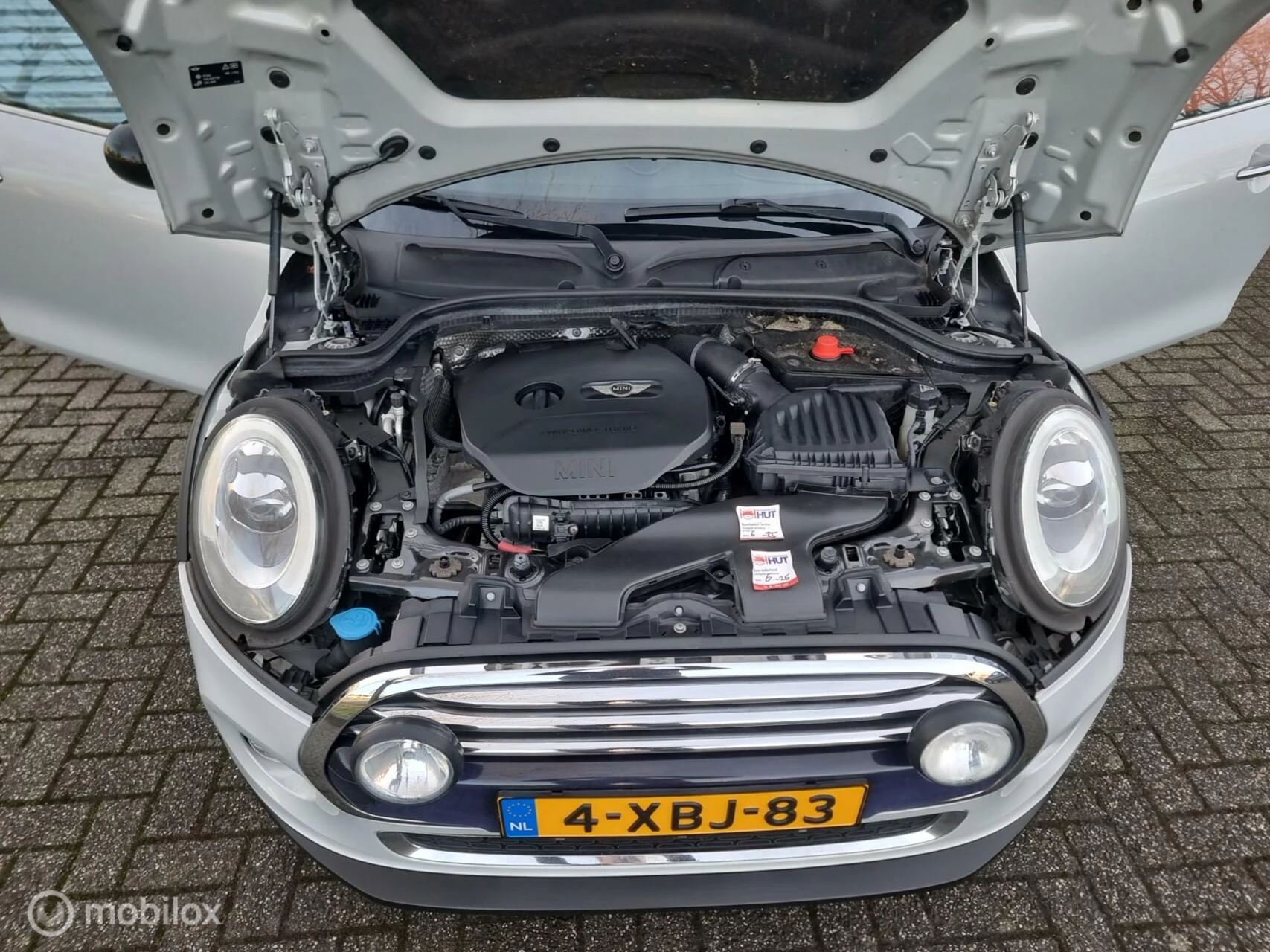 Hoofdafbeelding MINI Cooper