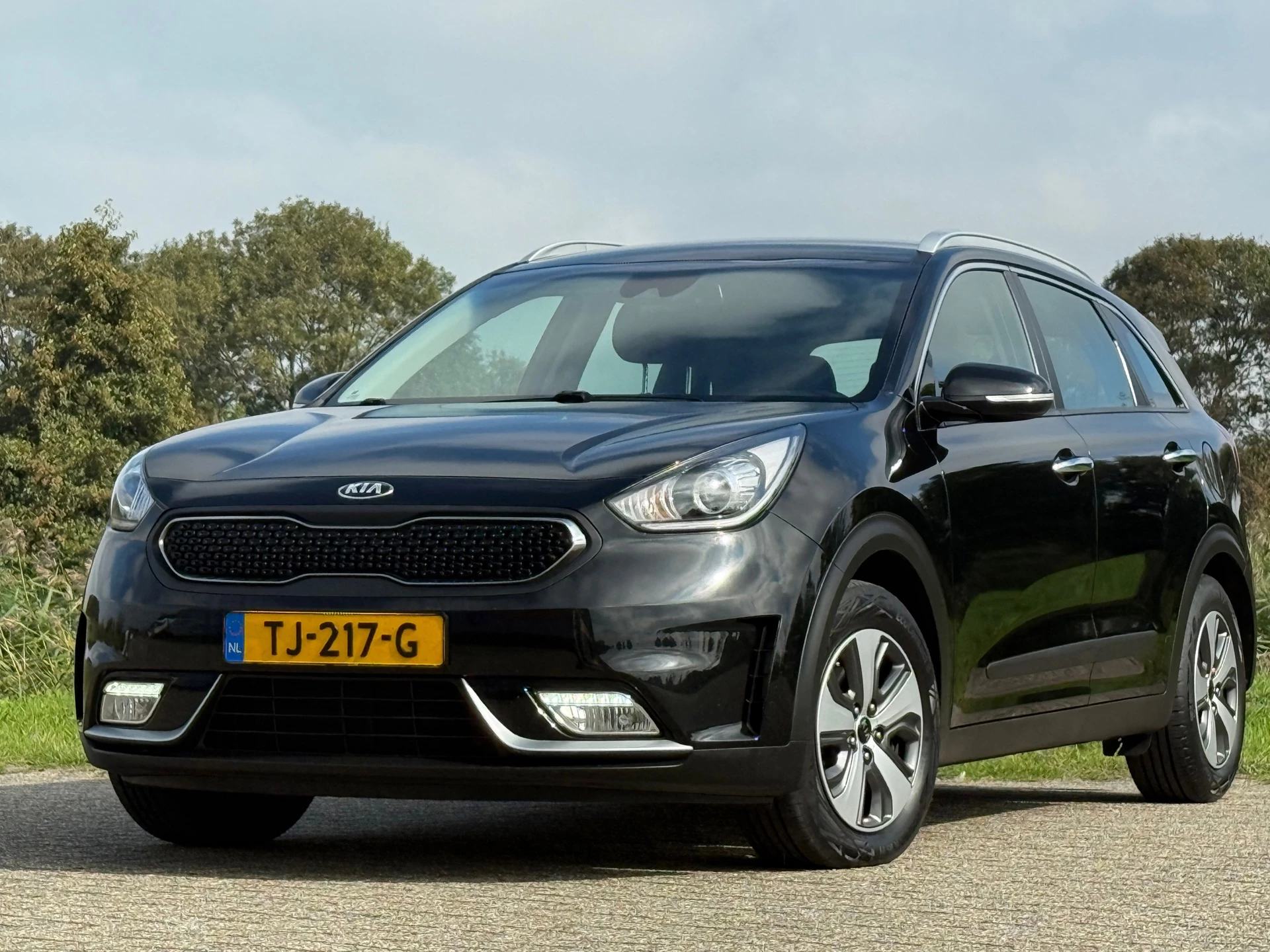Hoofdafbeelding Kia Niro