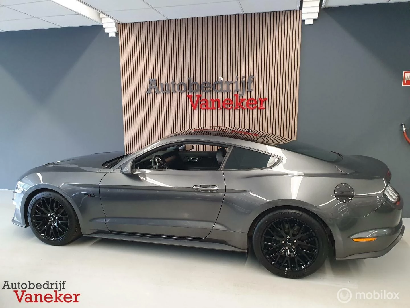 Hoofdafbeelding Ford Mustang