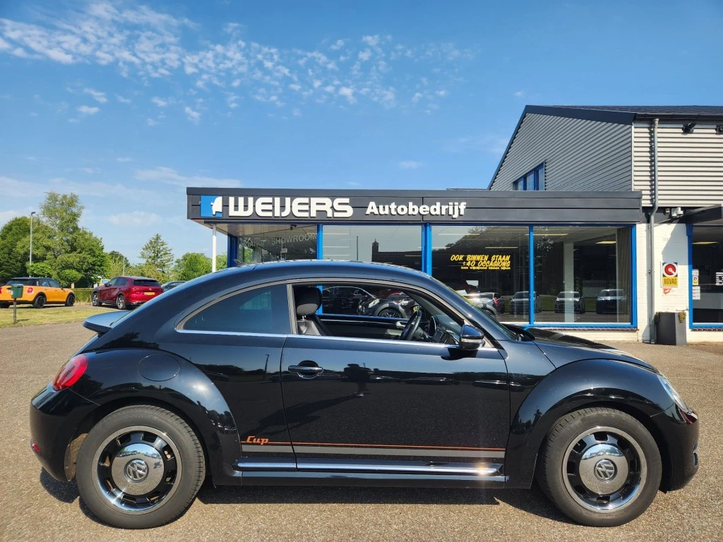 Hoofdafbeelding Volkswagen Beetle