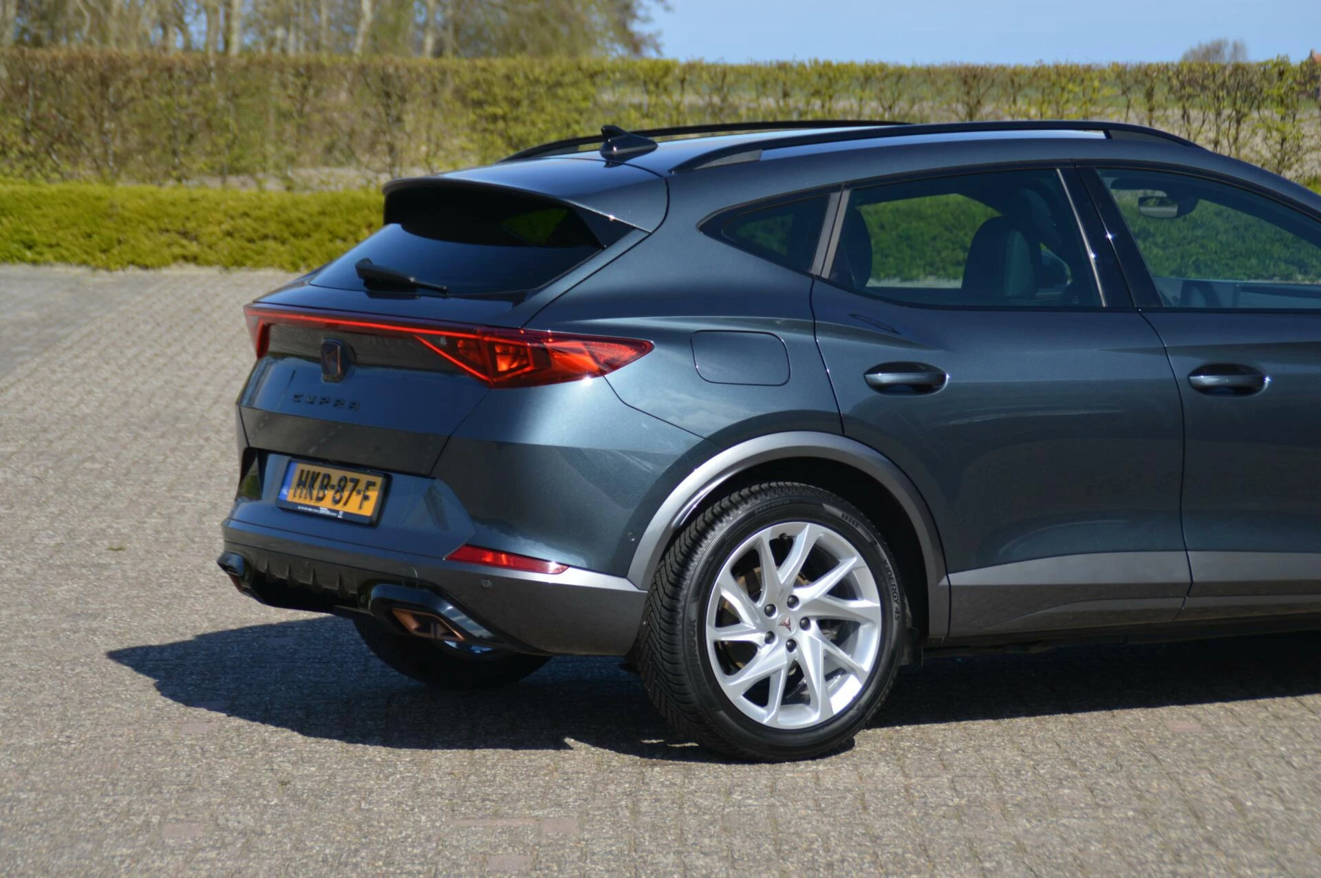 Hoofdafbeelding CUPRA Formentor