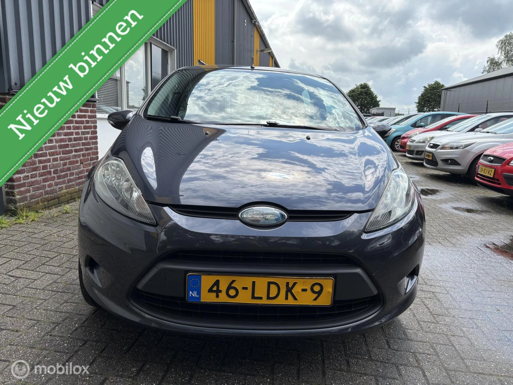 Hoofdafbeelding Ford Fiesta