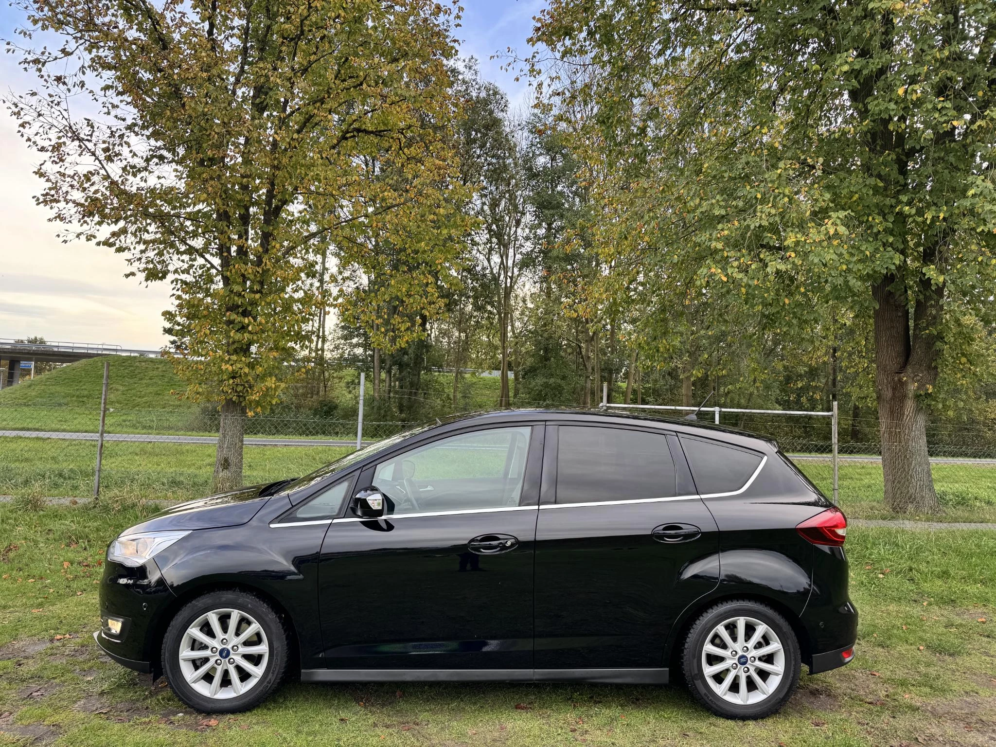 Hoofdafbeelding Ford C-MAX