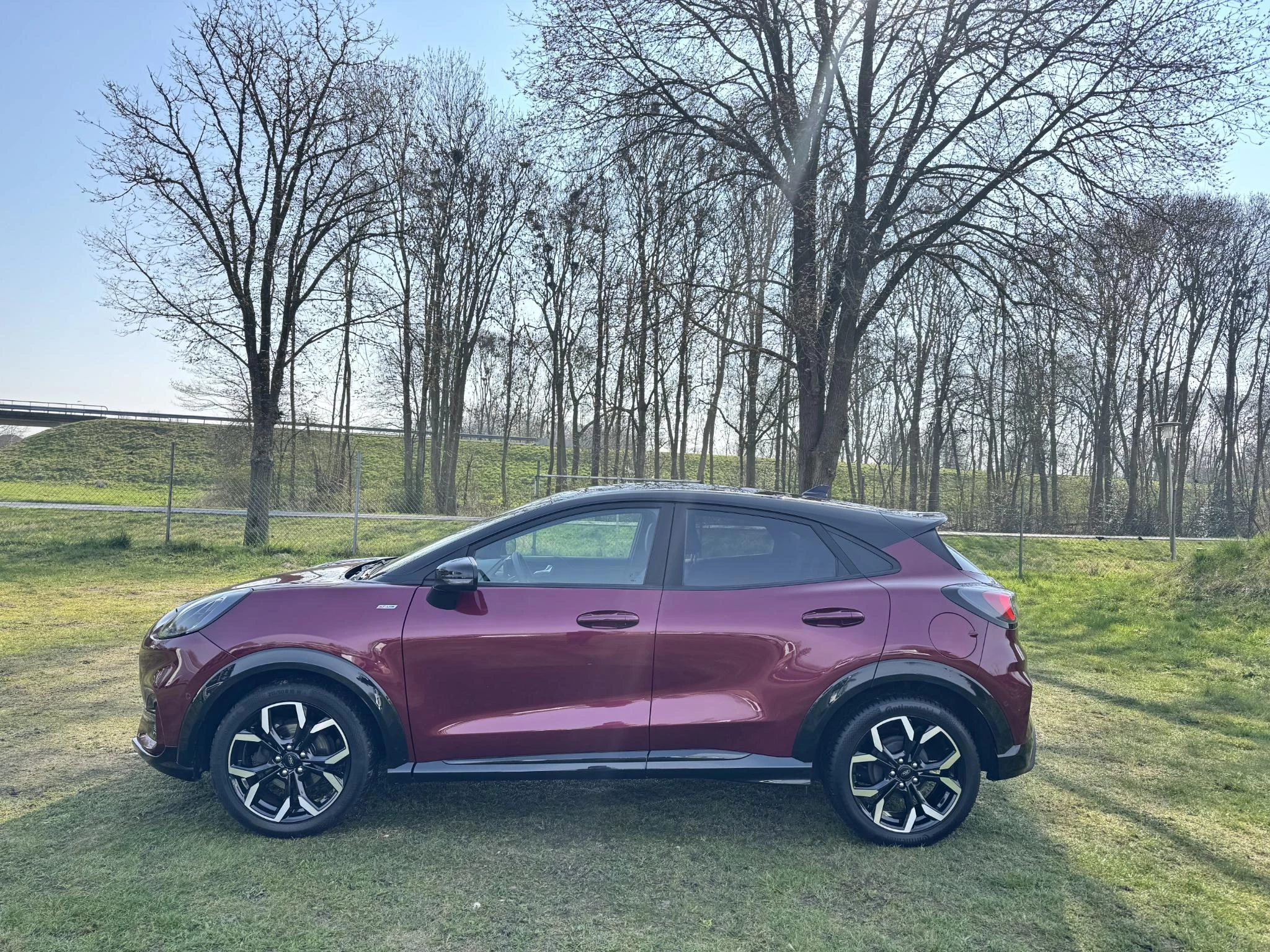 Hoofdafbeelding Ford Puma