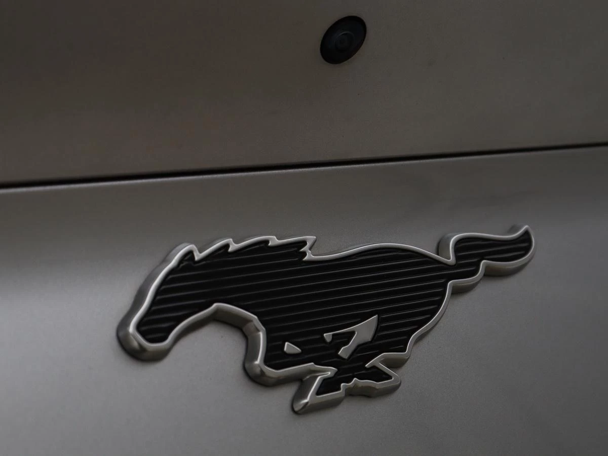 Hoofdafbeelding Ford Mustang Mach-E