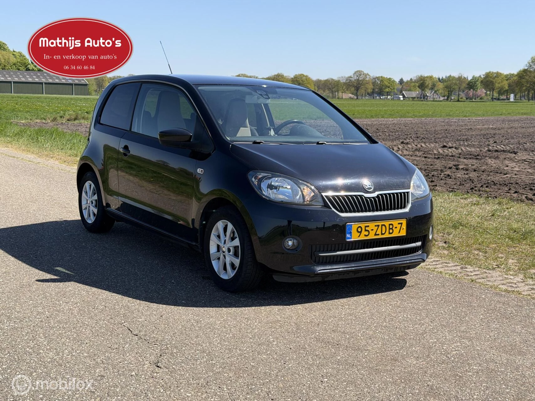 Hoofdafbeelding Škoda Citigo