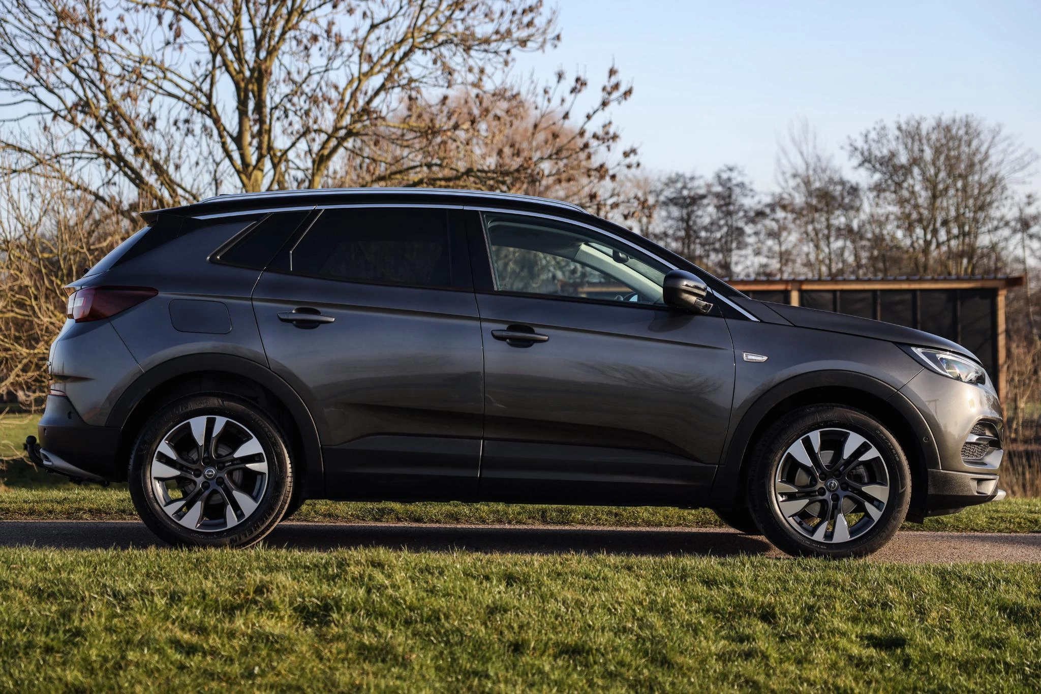 Hoofdafbeelding Opel Grandland X