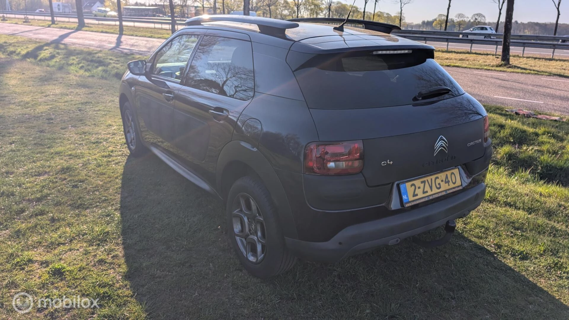 Hoofdafbeelding Citroën C4 Cactus