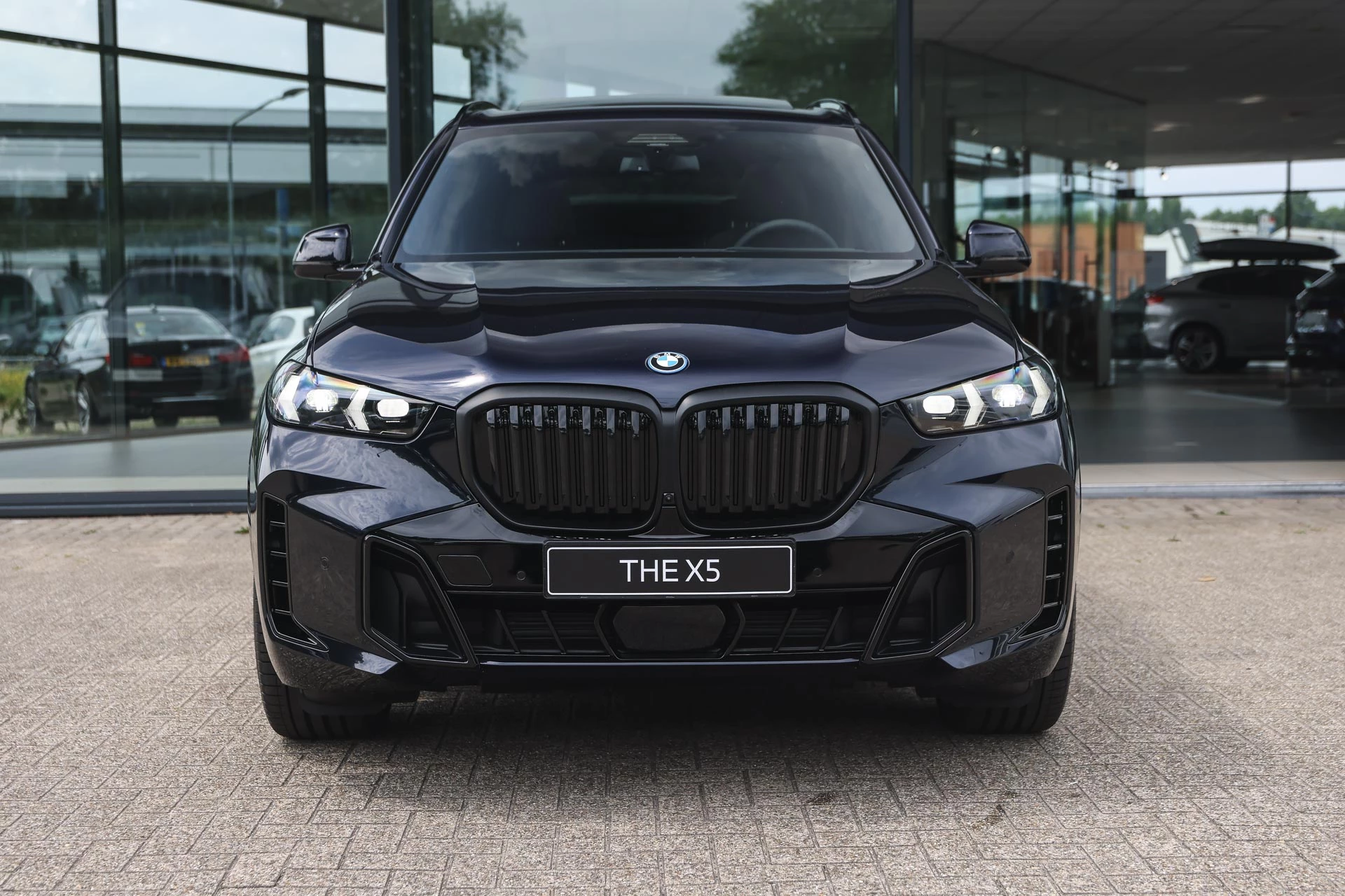 Hoofdafbeelding BMW X5