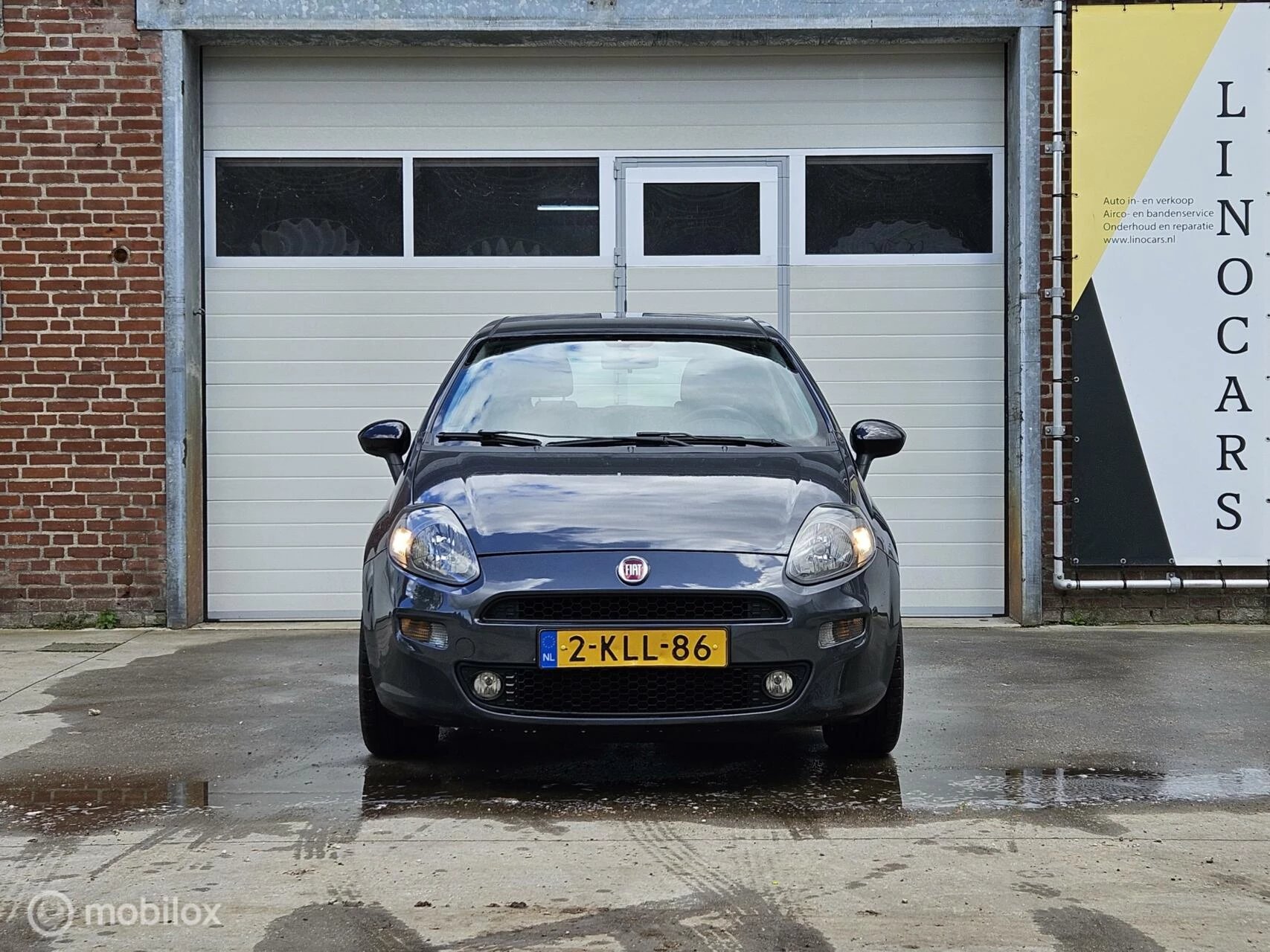 Hoofdafbeelding Fiat Punto