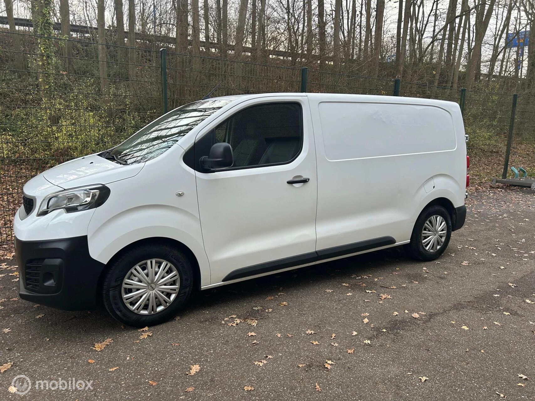 Hoofdafbeelding Peugeot Expert