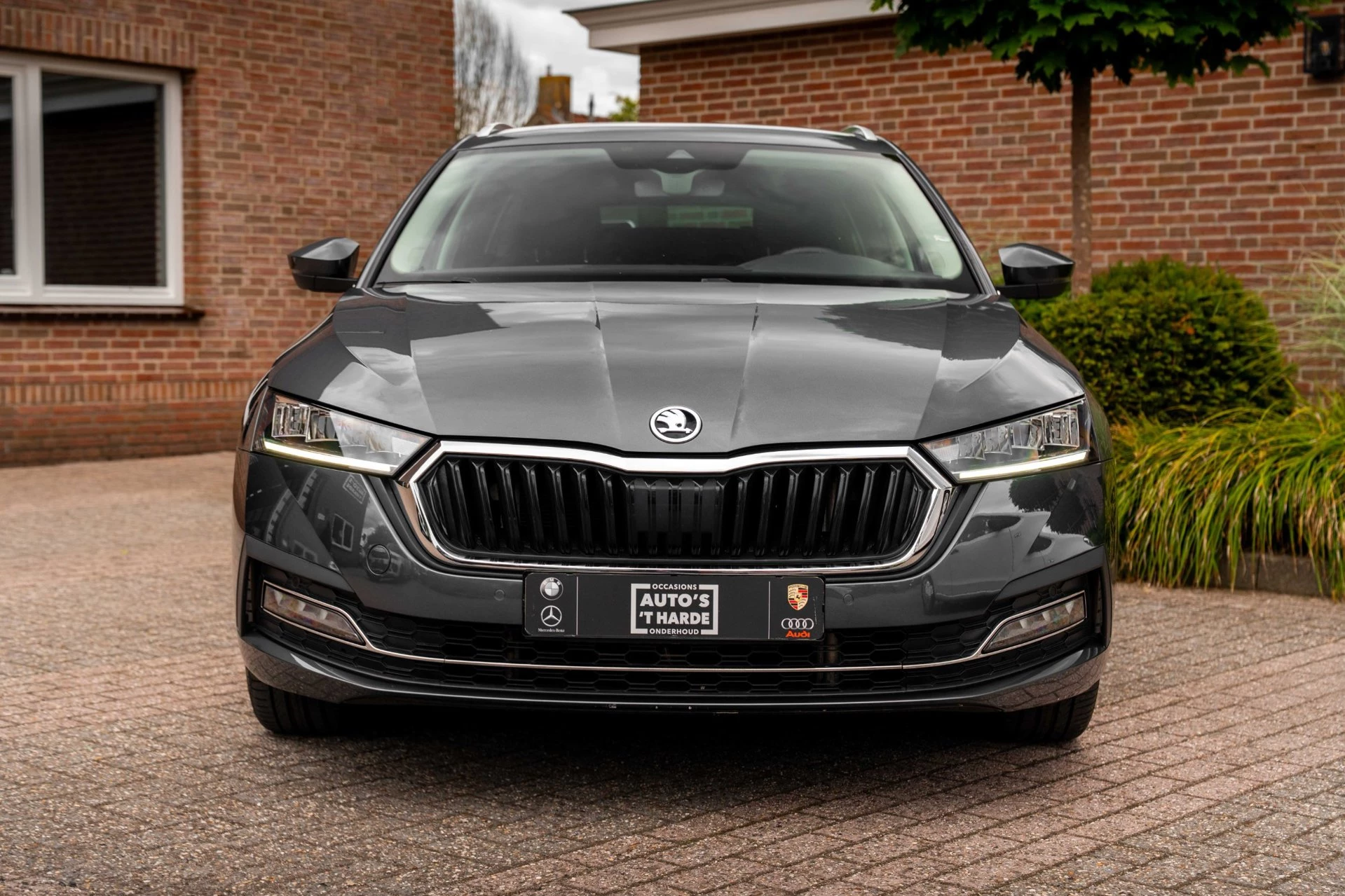 Hoofdafbeelding Škoda Octavia