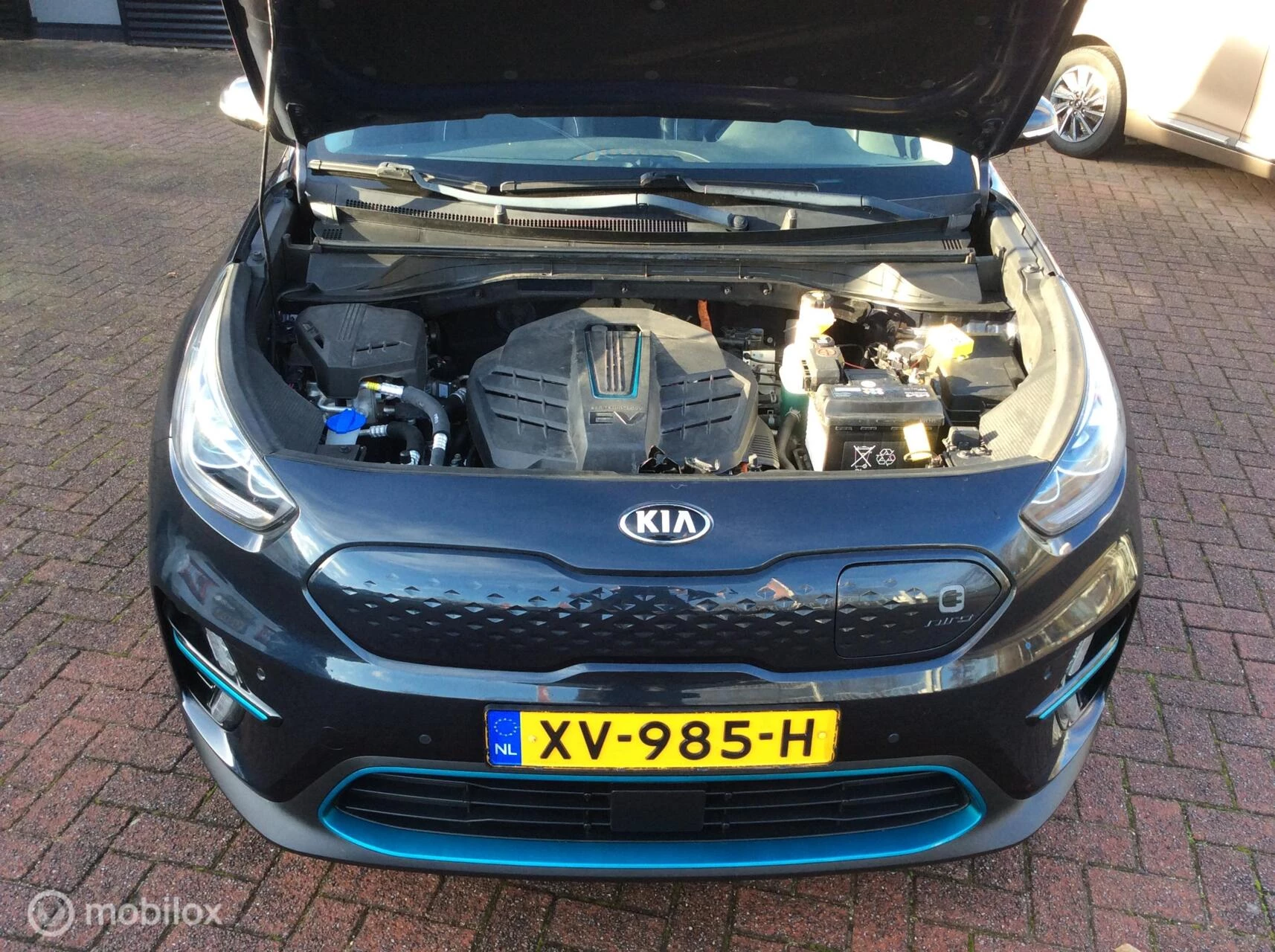 Hoofdafbeelding Kia e-Niro