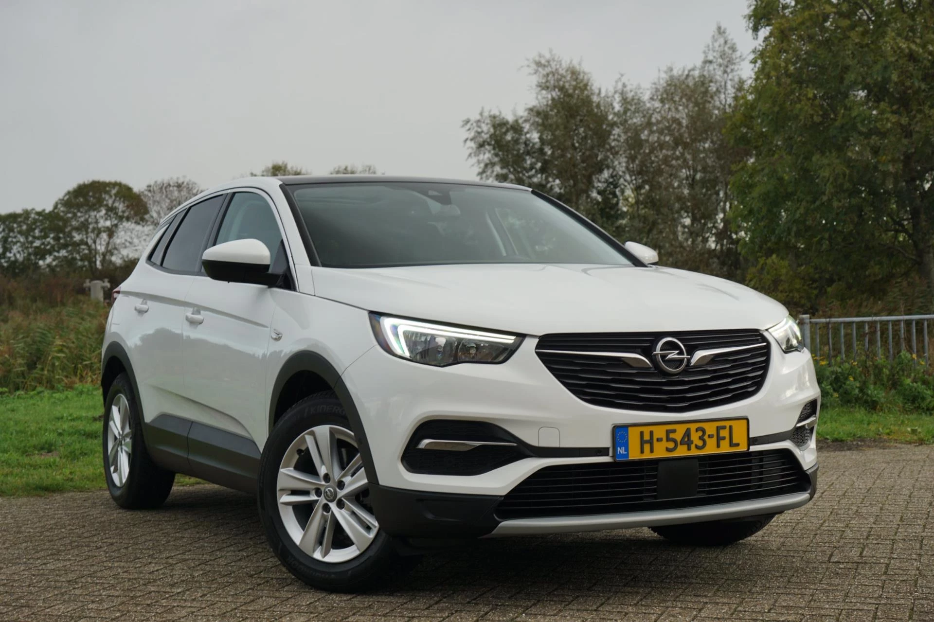 Hoofdafbeelding Opel Grandland X
