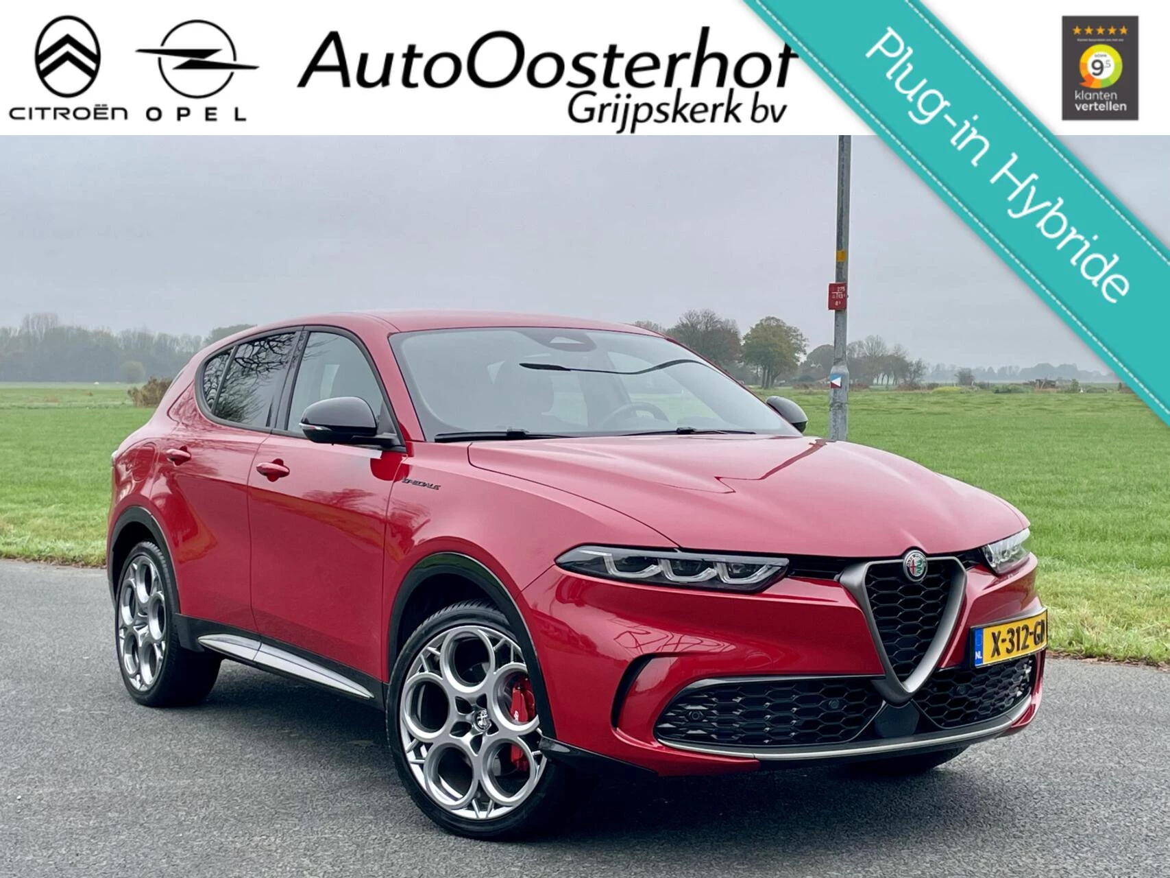 Hoofdafbeelding Alfa Romeo Tonale