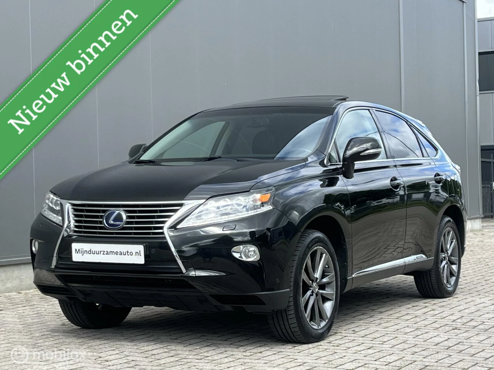 Hoofdafbeelding Lexus RX