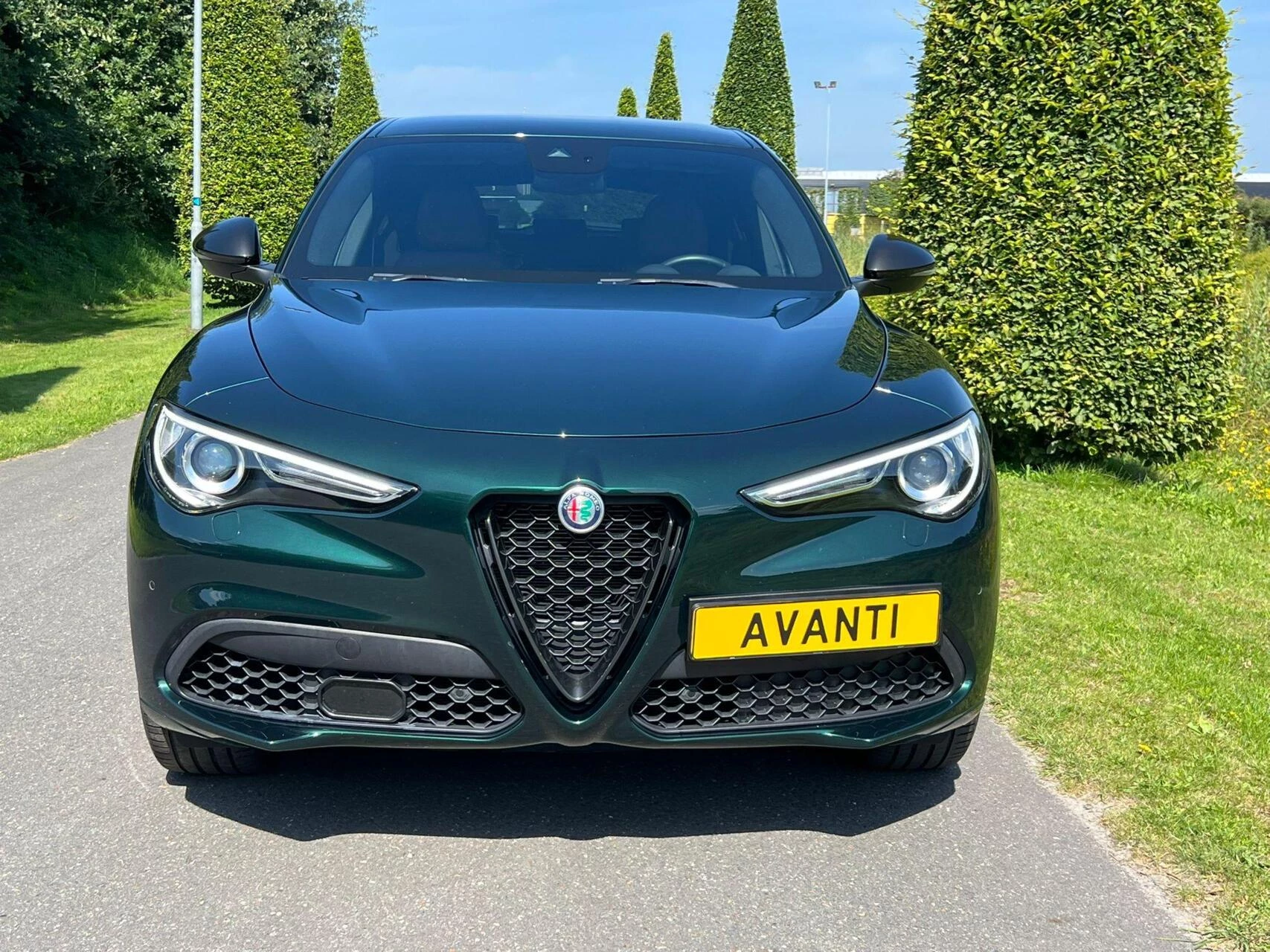 Hoofdafbeelding Alfa Romeo Stelvio