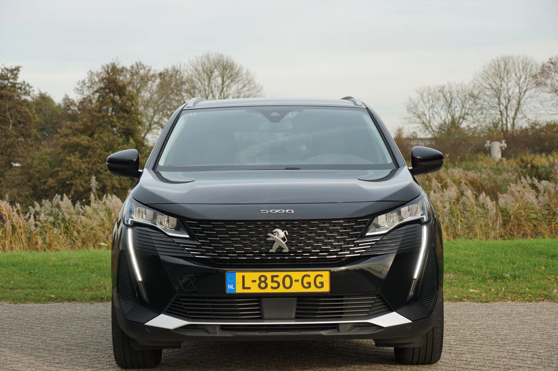 Hoofdafbeelding Peugeot 5008