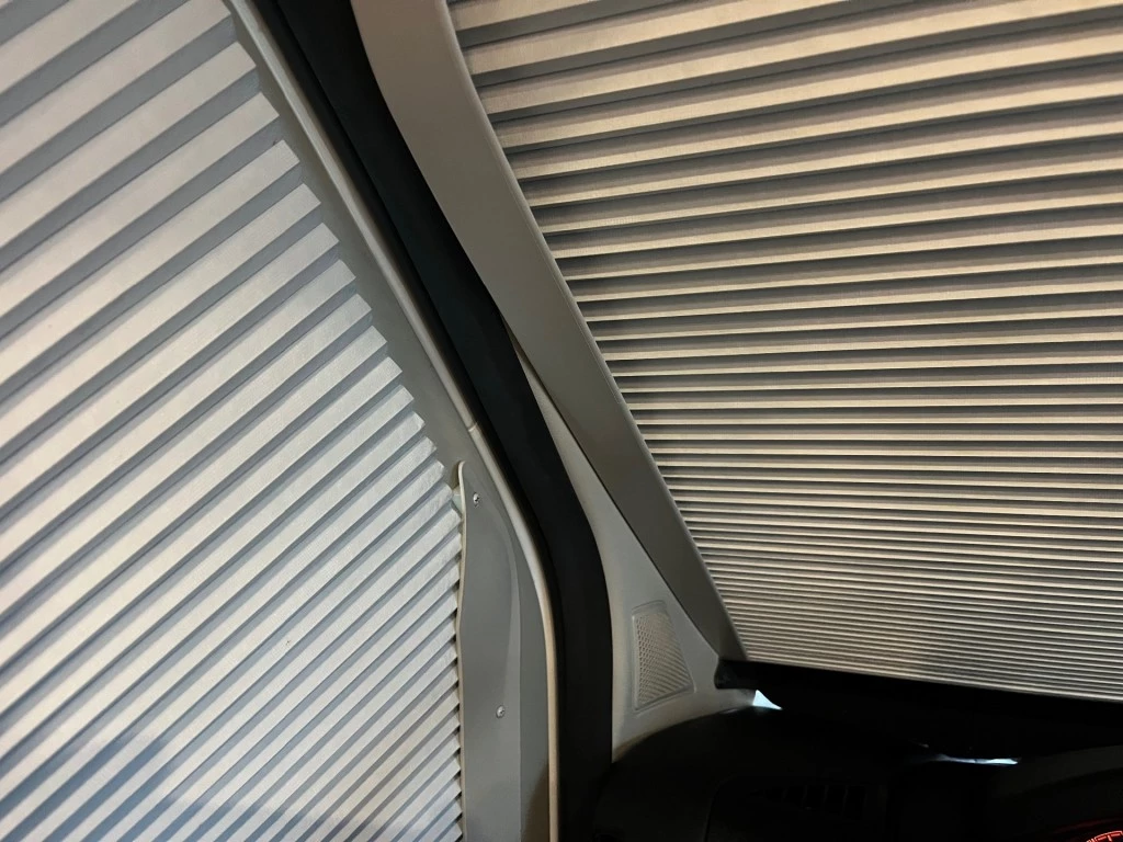 Hoofdafbeelding McLouis YEARLING