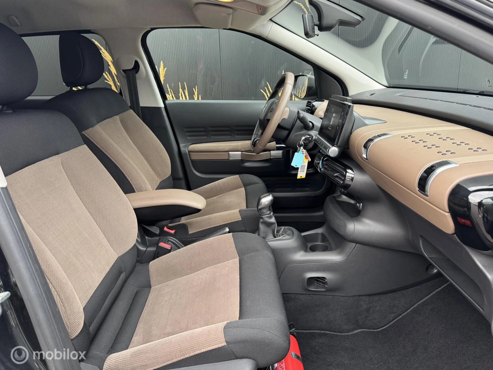 Hoofdafbeelding Citroën C4 Cactus