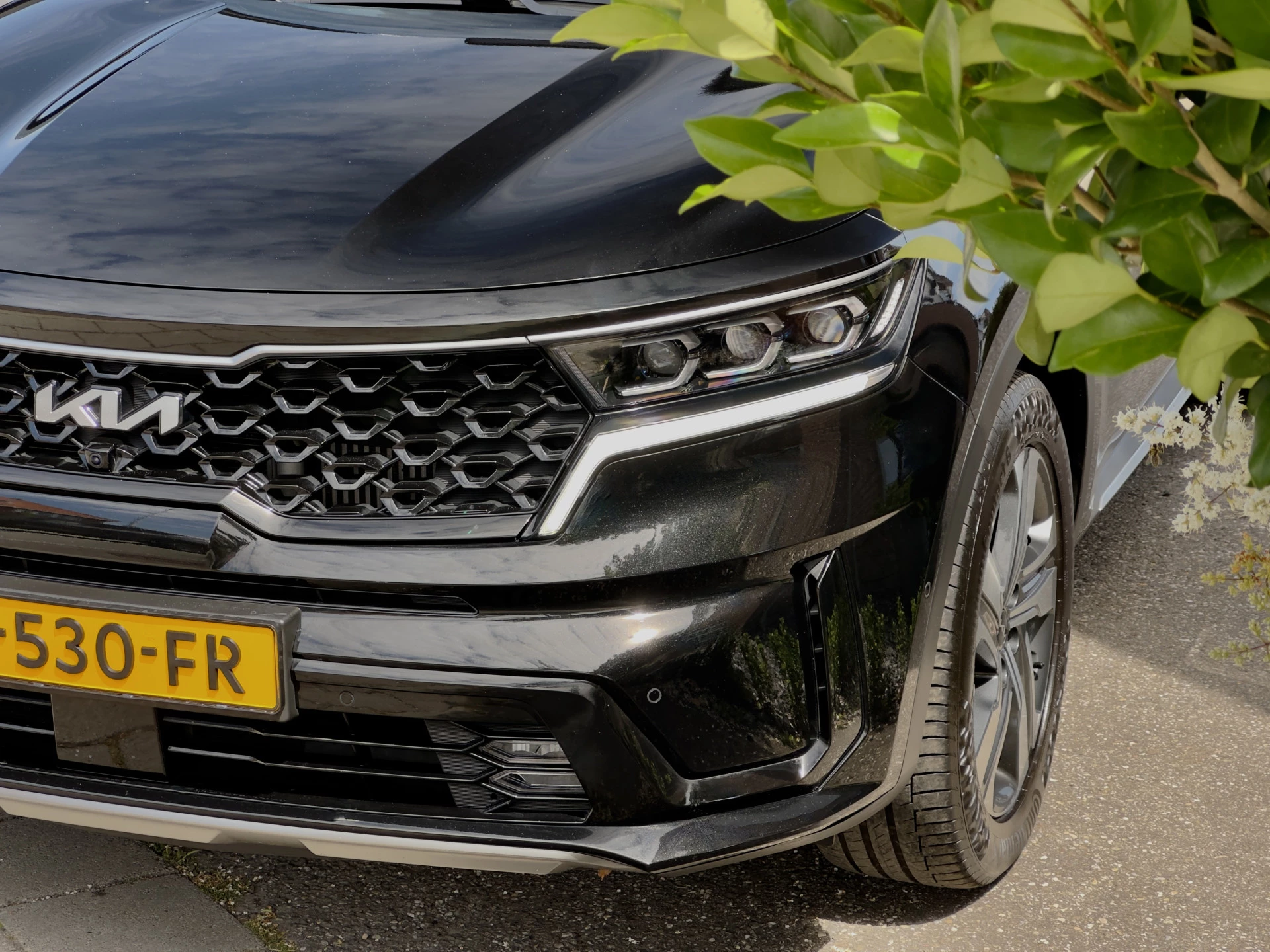 Hoofdafbeelding Kia Sorento
