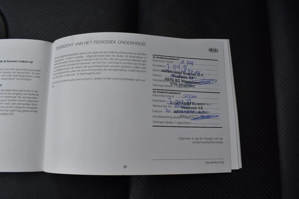 Hoofdafbeelding Kia Niro