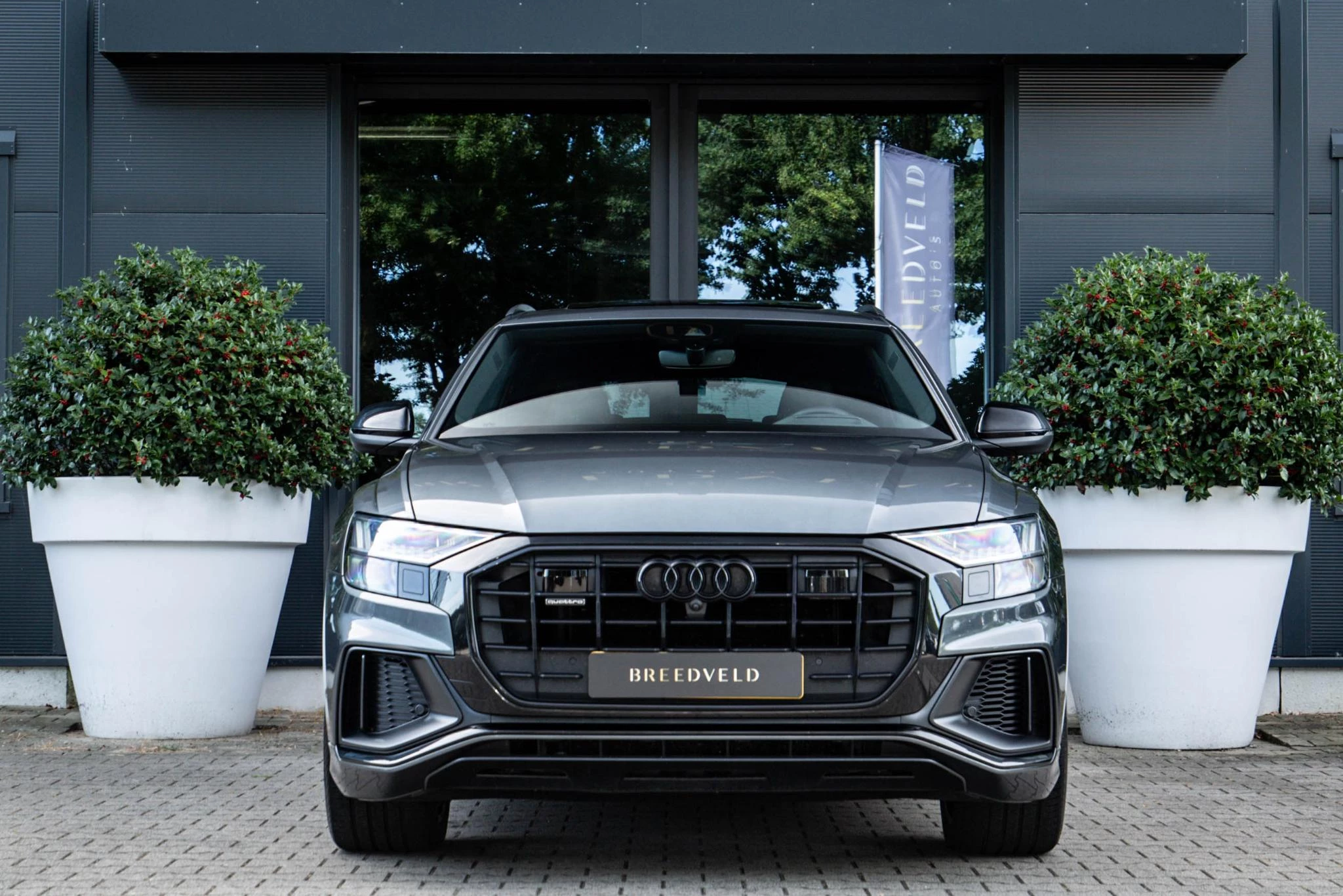 Hoofdafbeelding Audi Q8