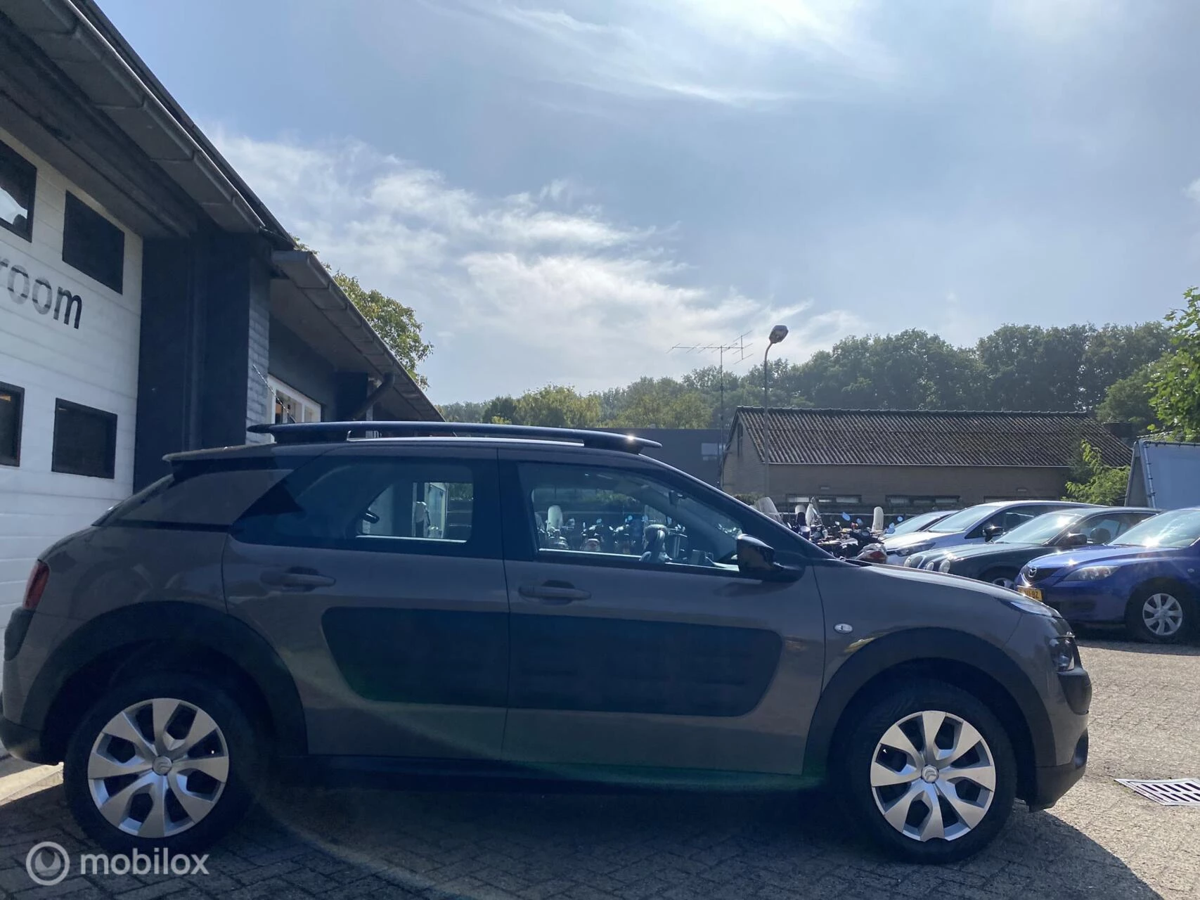 Hoofdafbeelding Citroën C4 Cactus