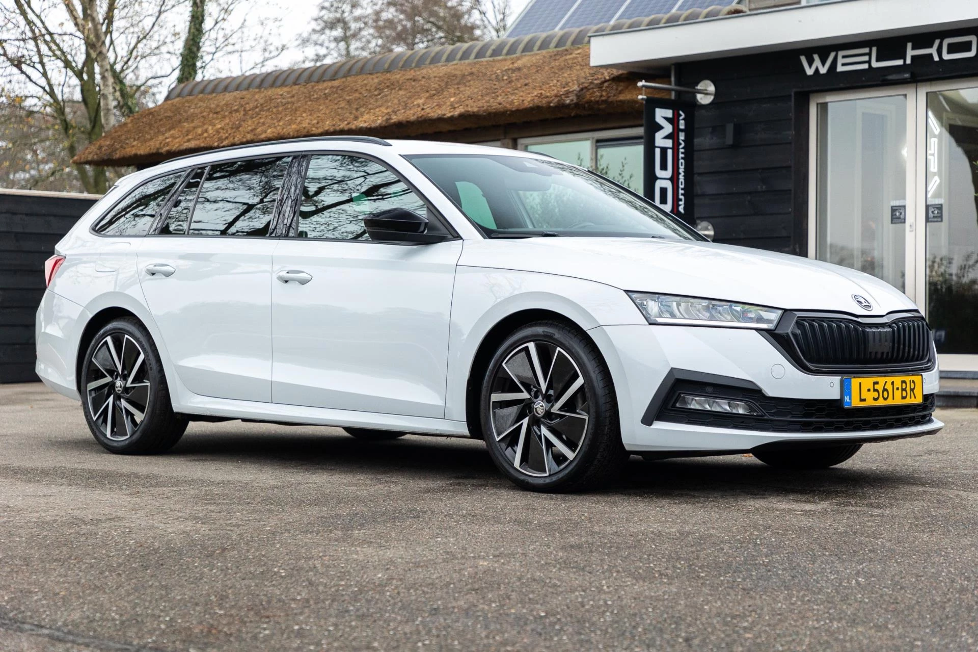 Hoofdafbeelding Škoda Octavia