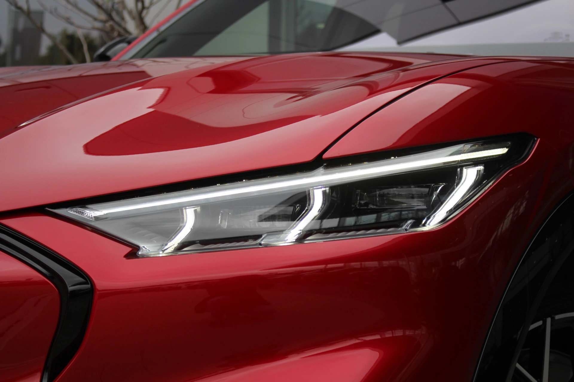 Hoofdafbeelding Ford Mustang Mach-E