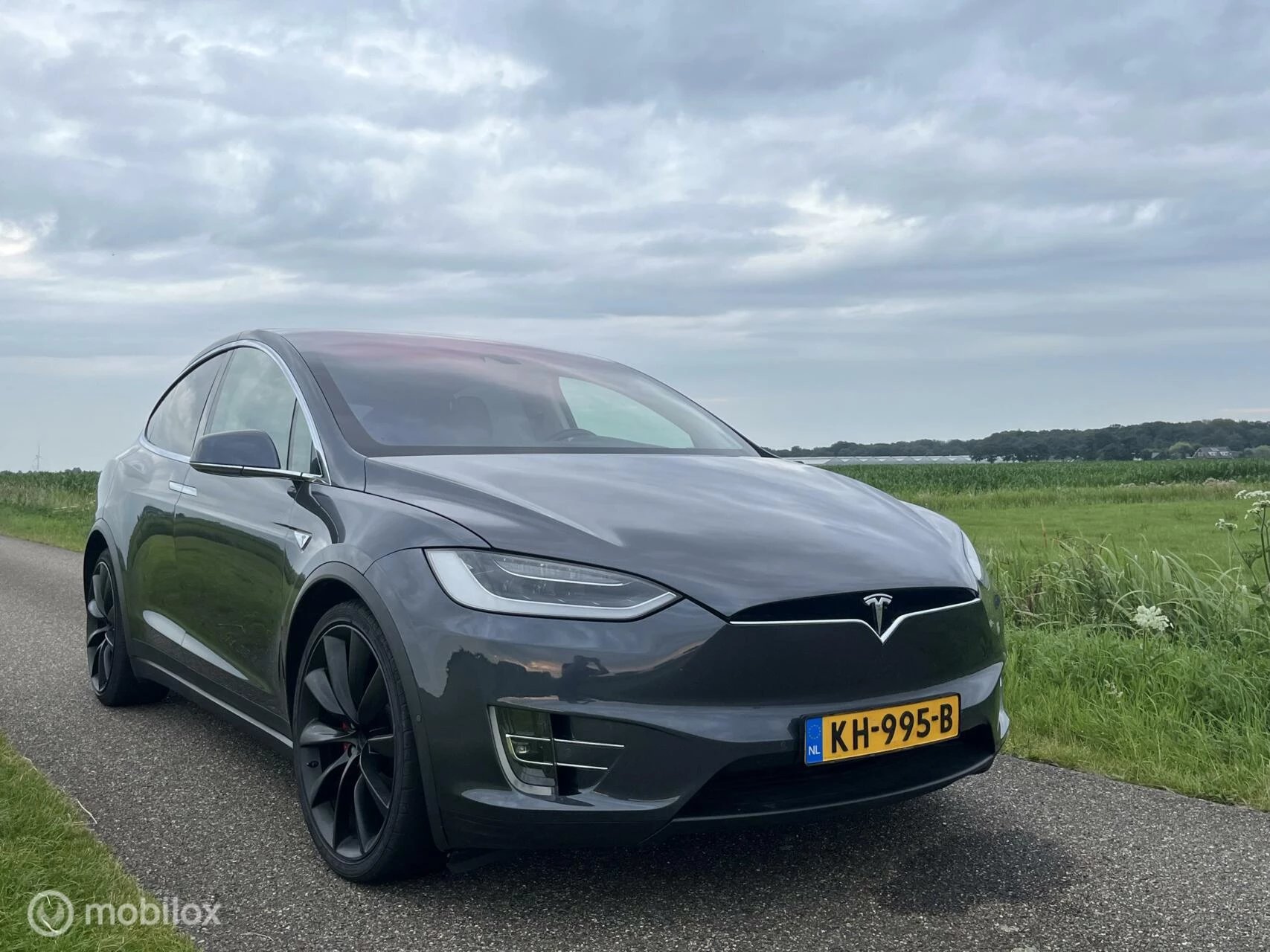 Hoofdafbeelding Tesla Model X