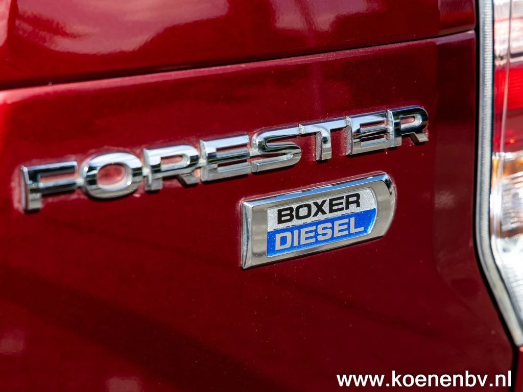 Hoofdafbeelding Subaru Forester