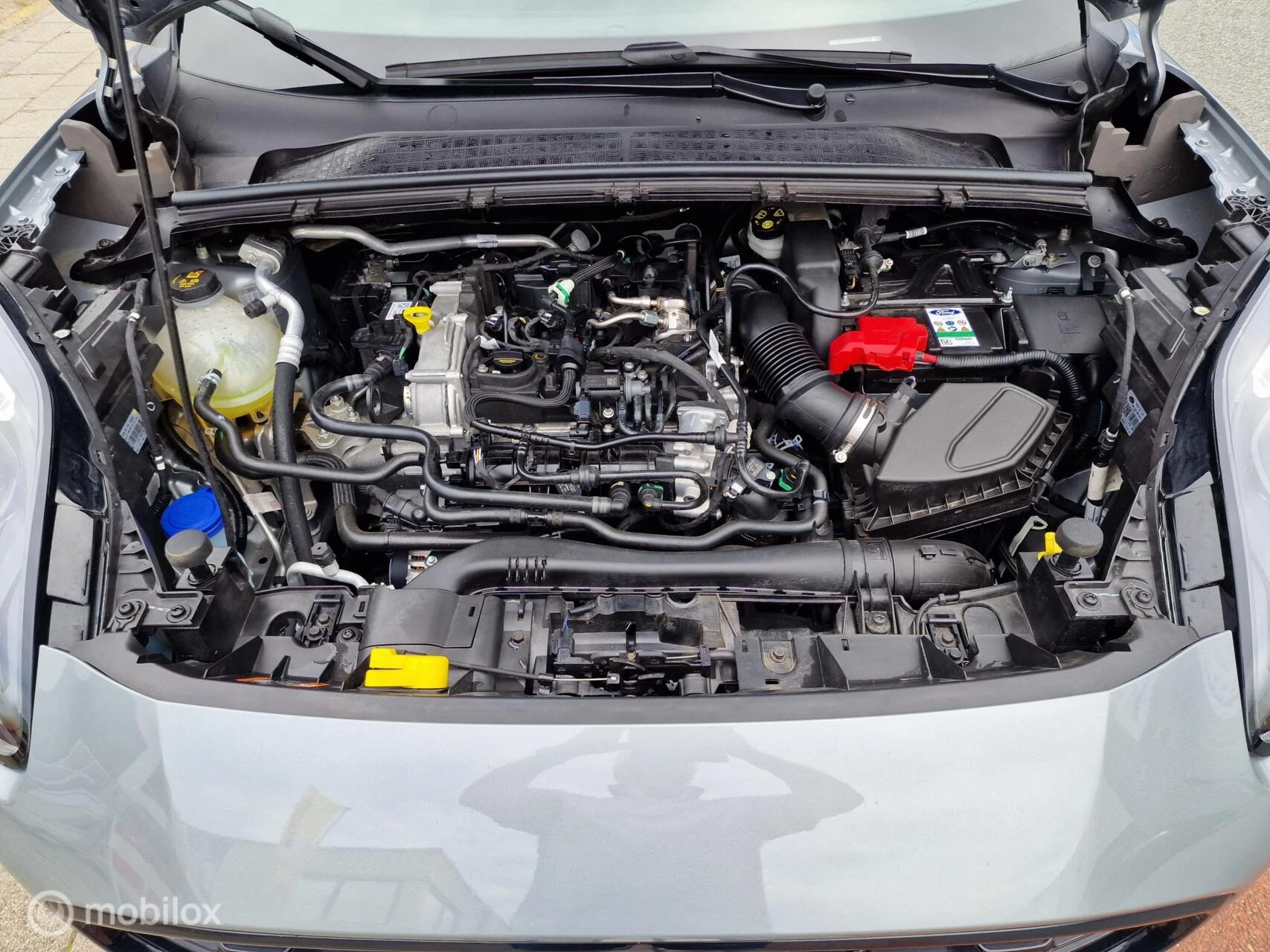 Hoofdafbeelding Ford Puma