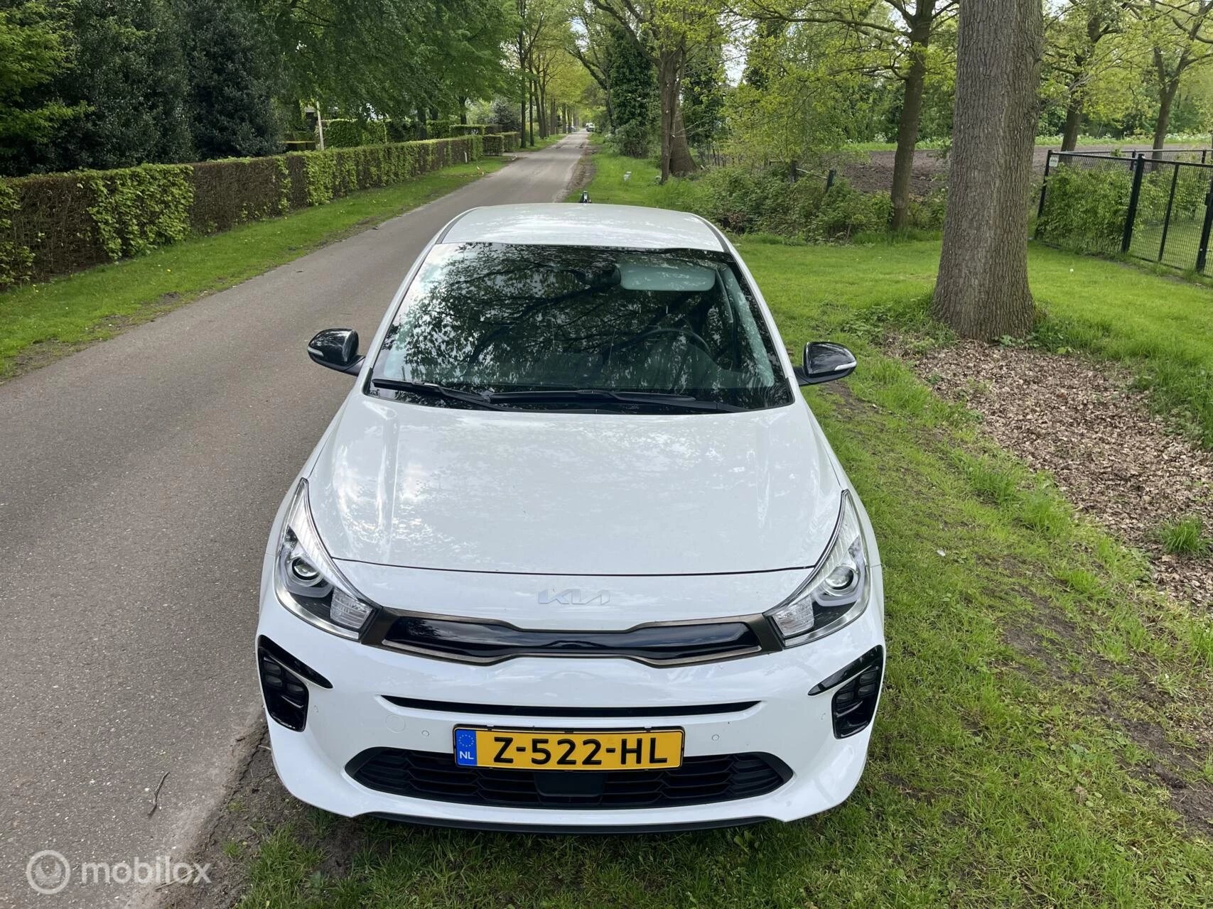 Hoofdafbeelding Kia Rio