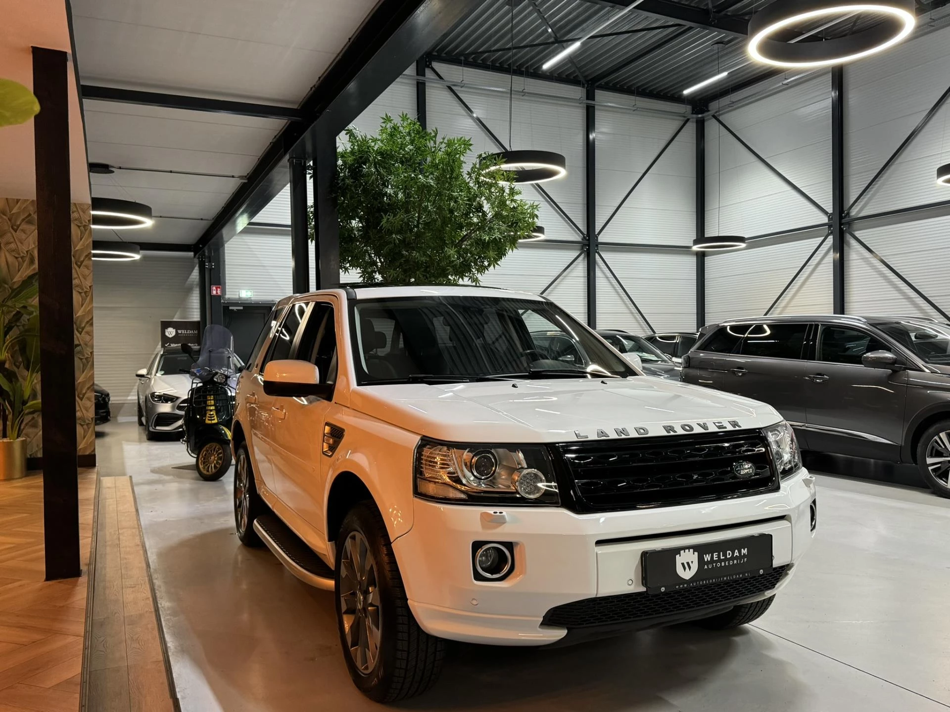 Hoofdafbeelding Land Rover Freelander