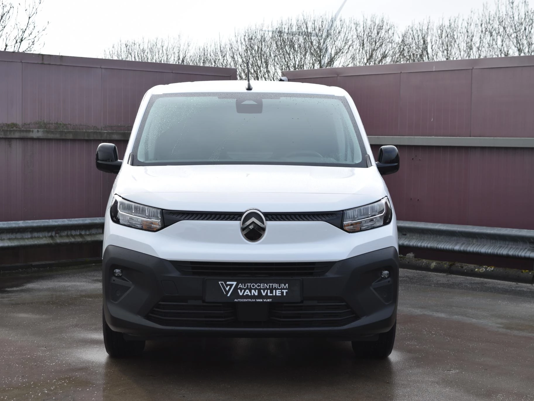 Hoofdafbeelding Citroën ë-Berlingo