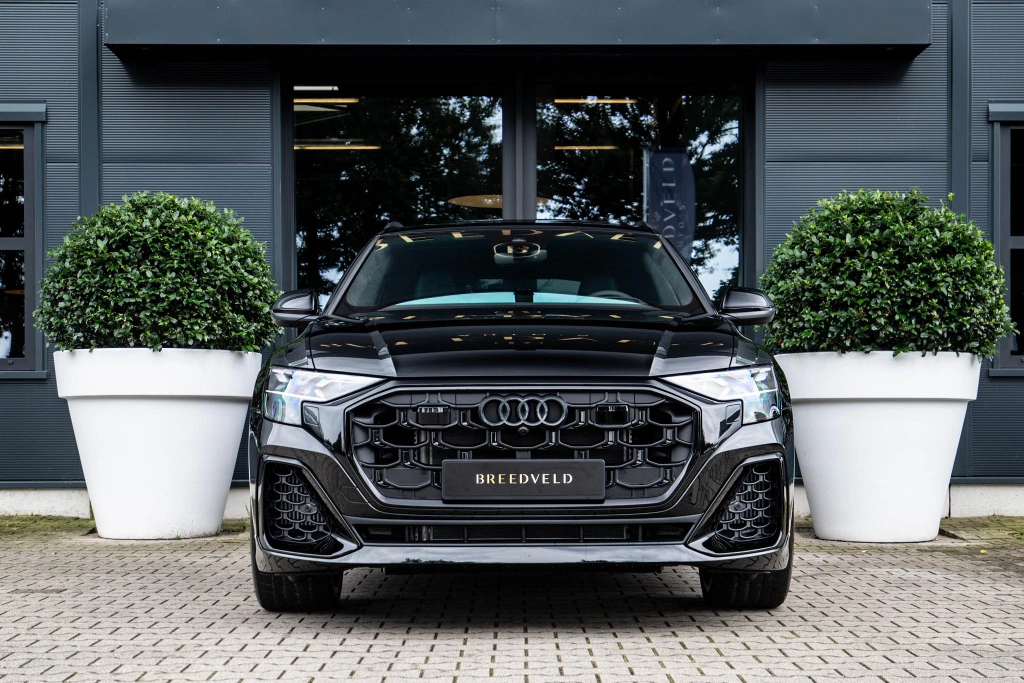 Hoofdafbeelding Audi Q8