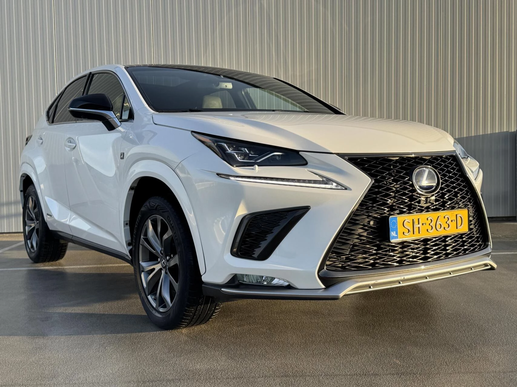 Hoofdafbeelding Lexus NX
