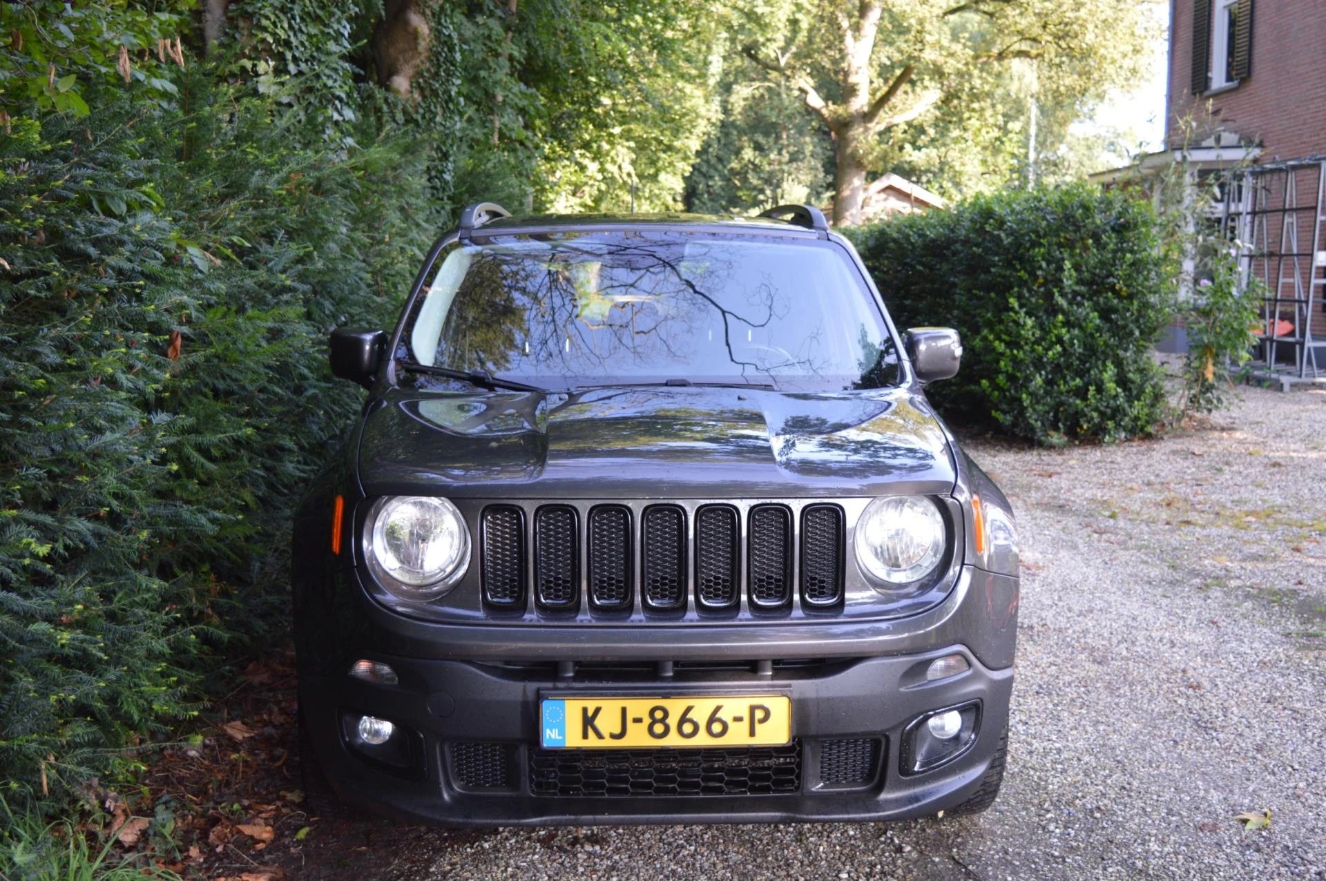 Hoofdafbeelding Jeep Renegade