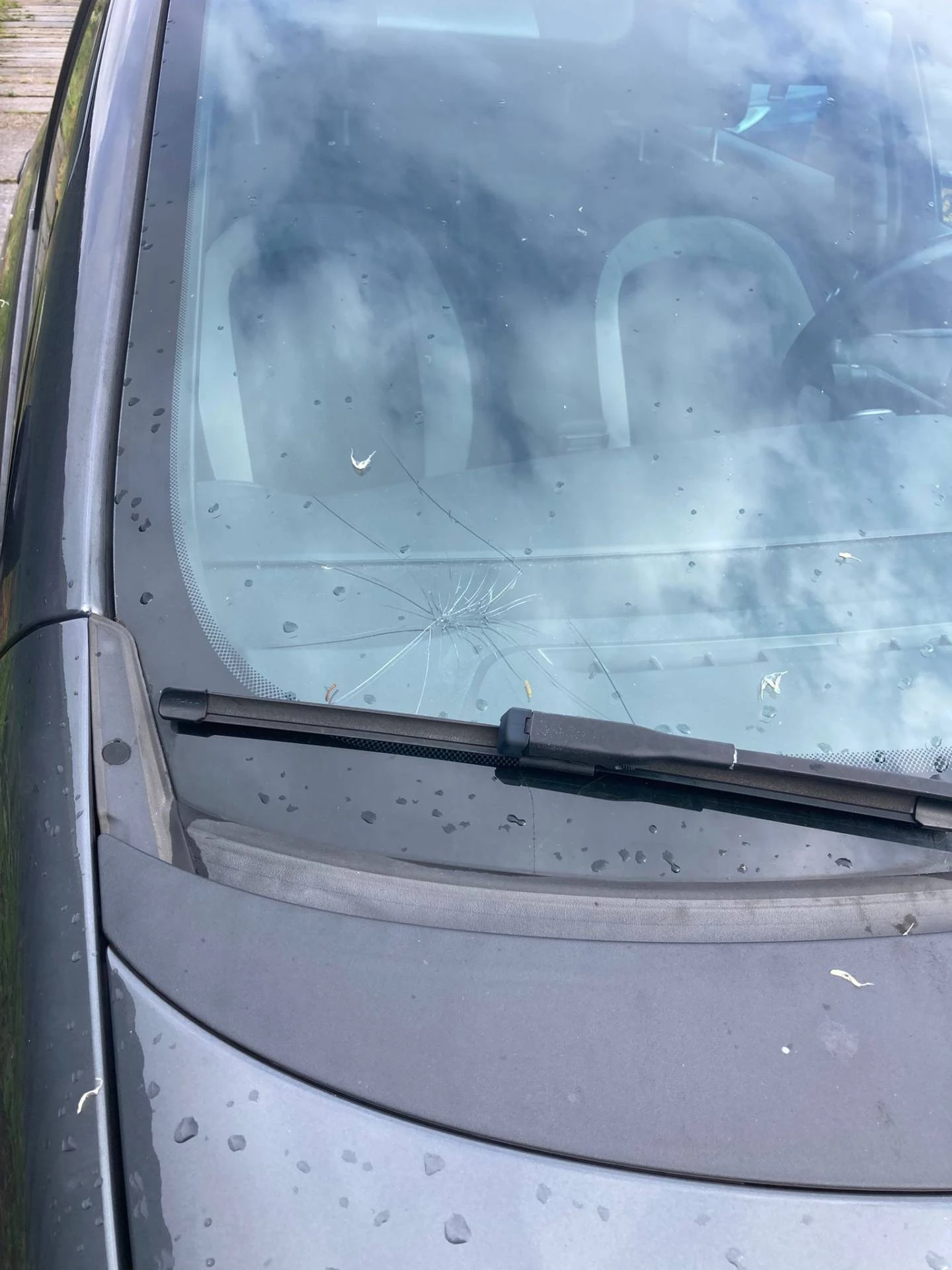 Hoofdafbeelding Fiat Punto