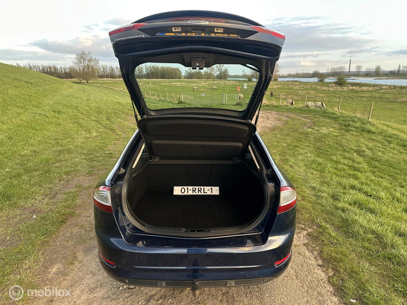 Hoofdafbeelding Ford Mondeo