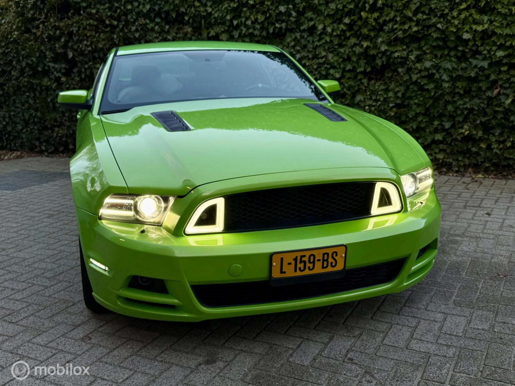 Hoofdafbeelding Ford Mustang