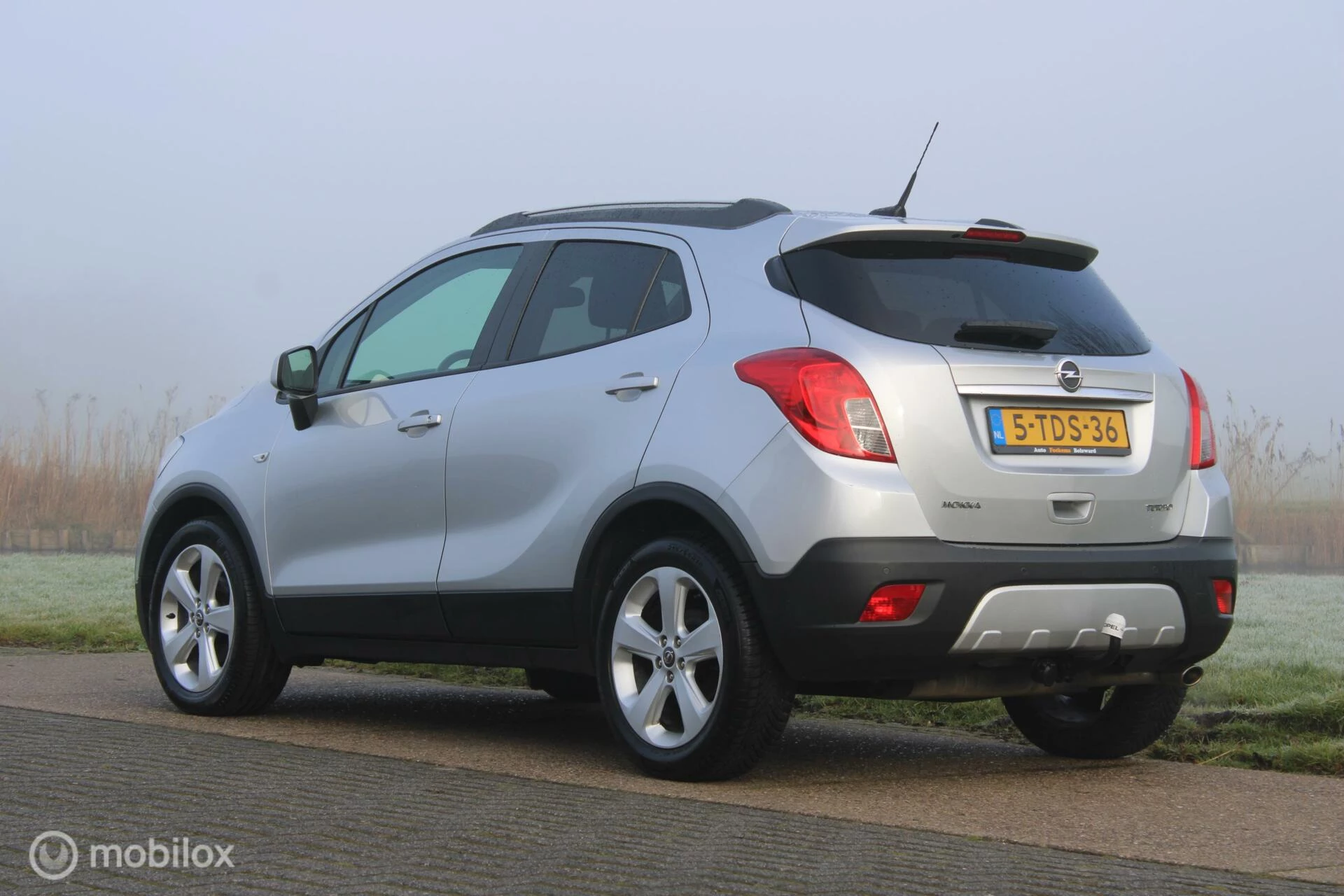 Hoofdafbeelding Opel Mokka