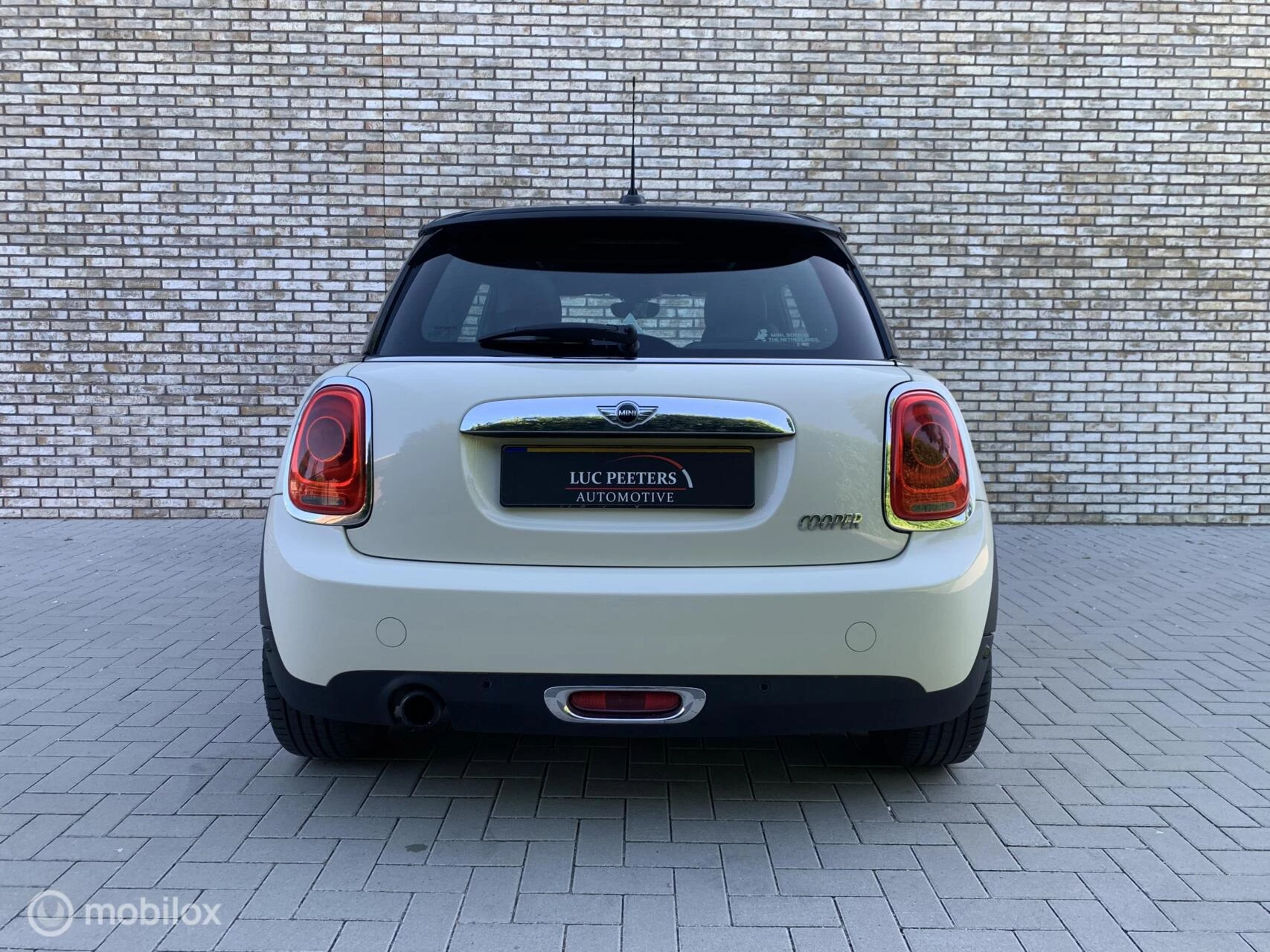 Hoofdafbeelding MINI Cooper
