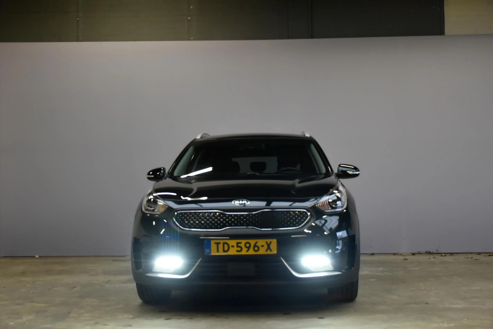 Hoofdafbeelding Kia Niro