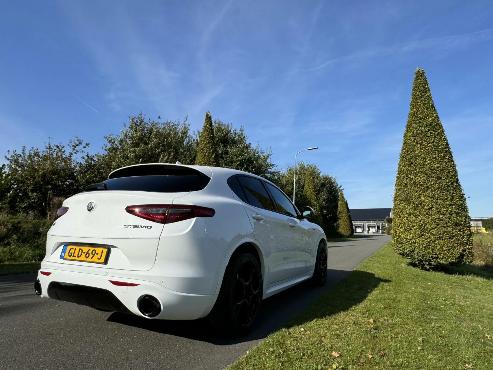 Hoofdafbeelding Alfa Romeo Stelvio